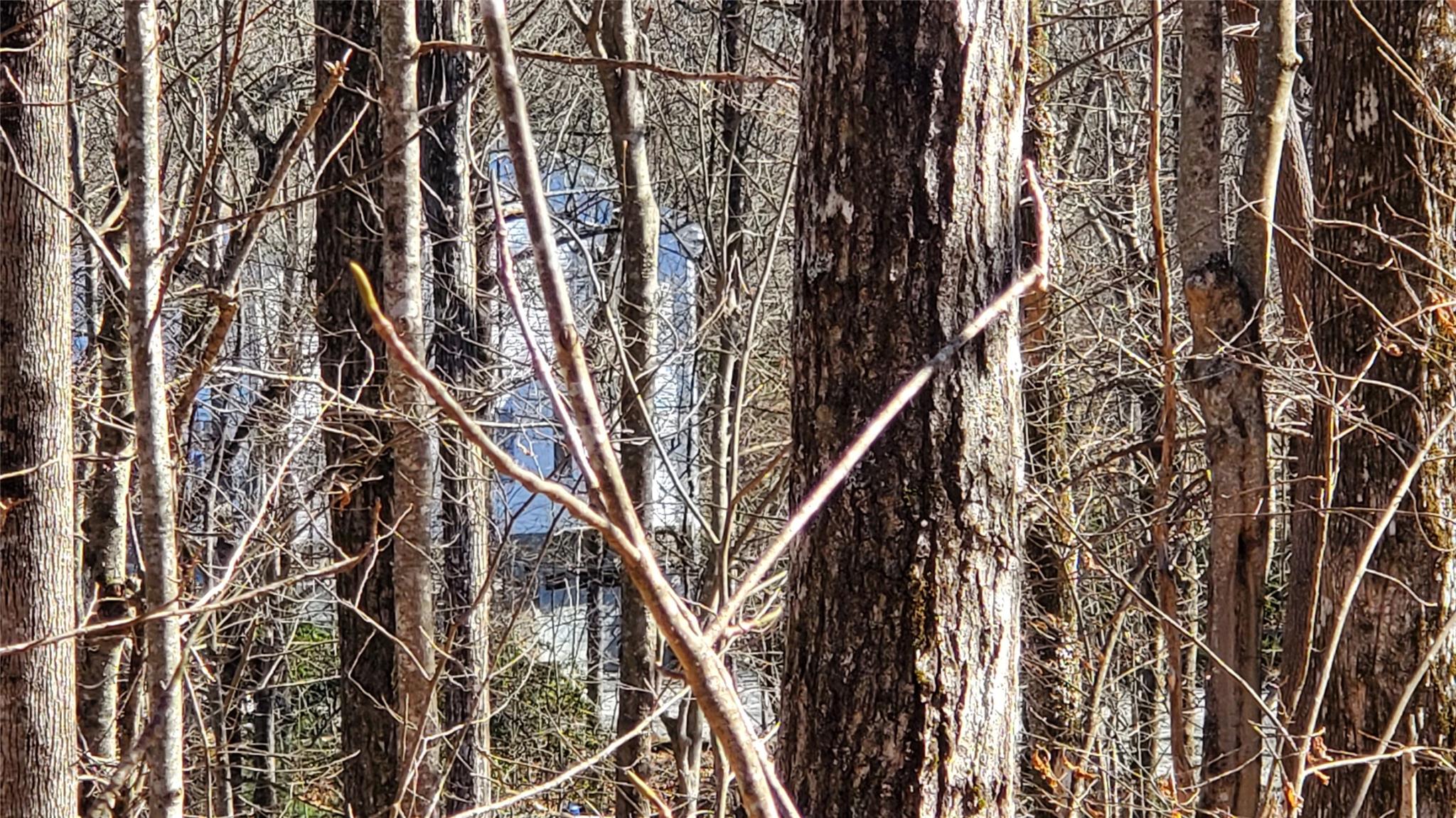 1101 Indian Camp Mountain Road