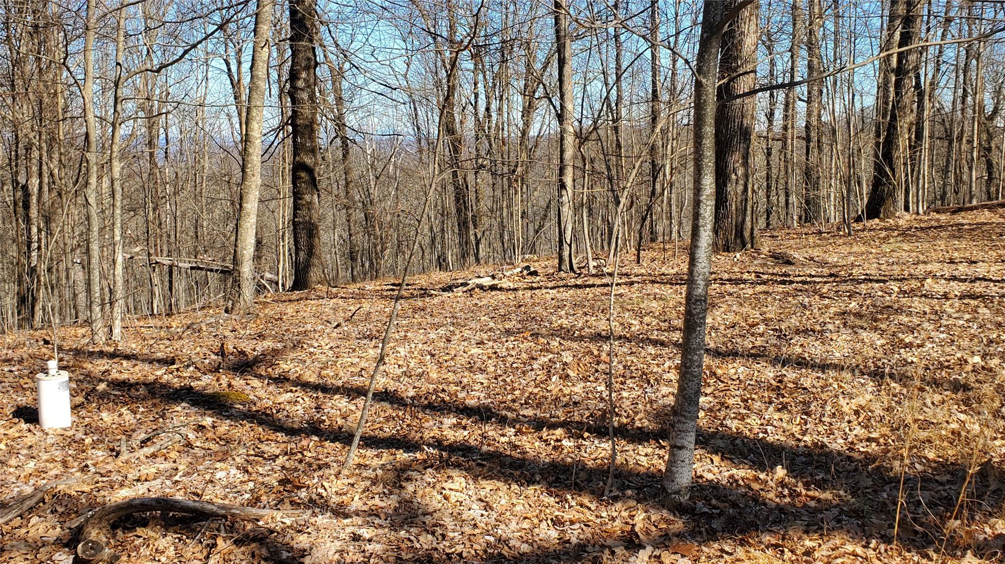 1101 Indian Camp Mountain Road