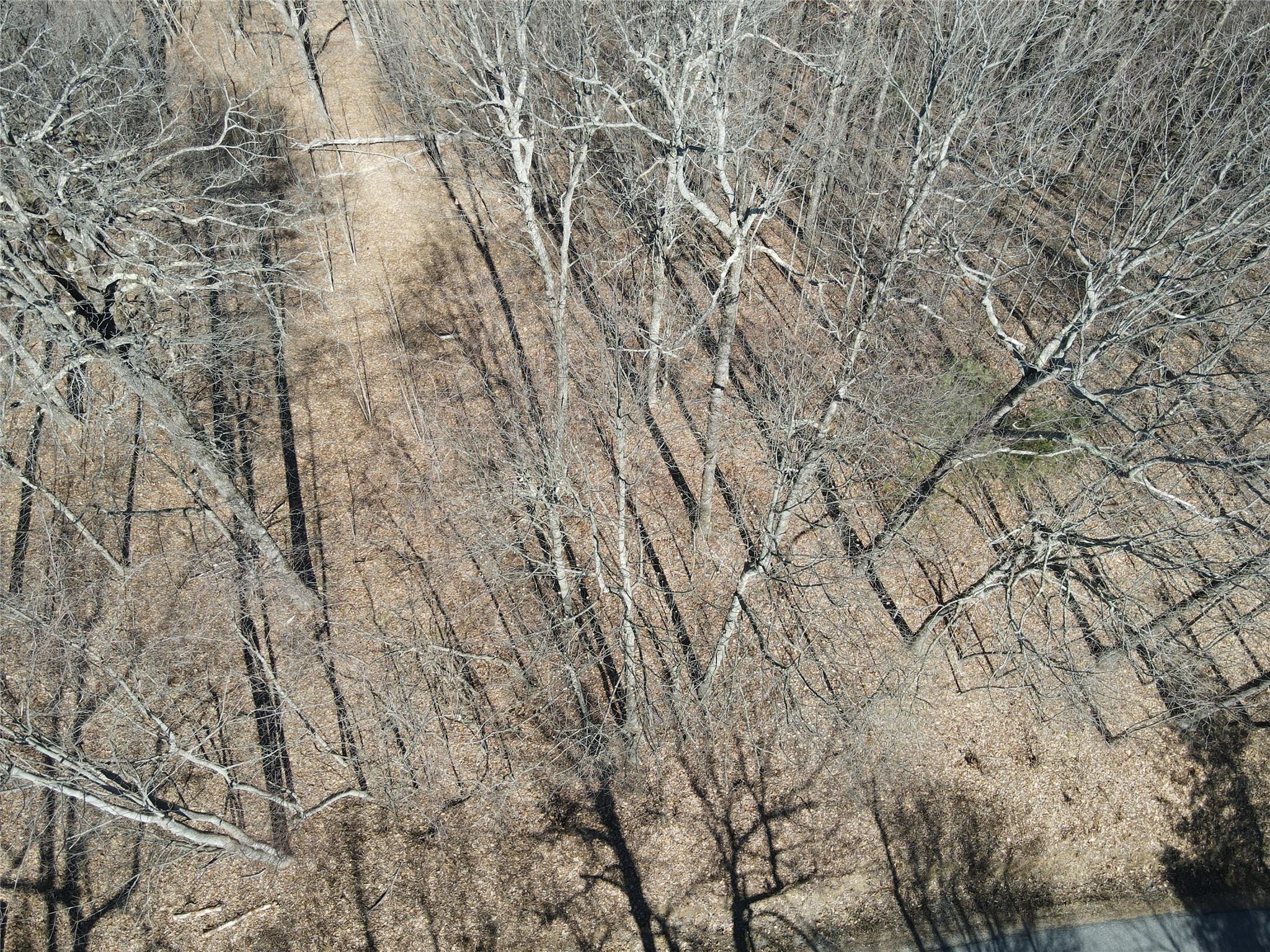 1101 Indian Camp Mountain Road