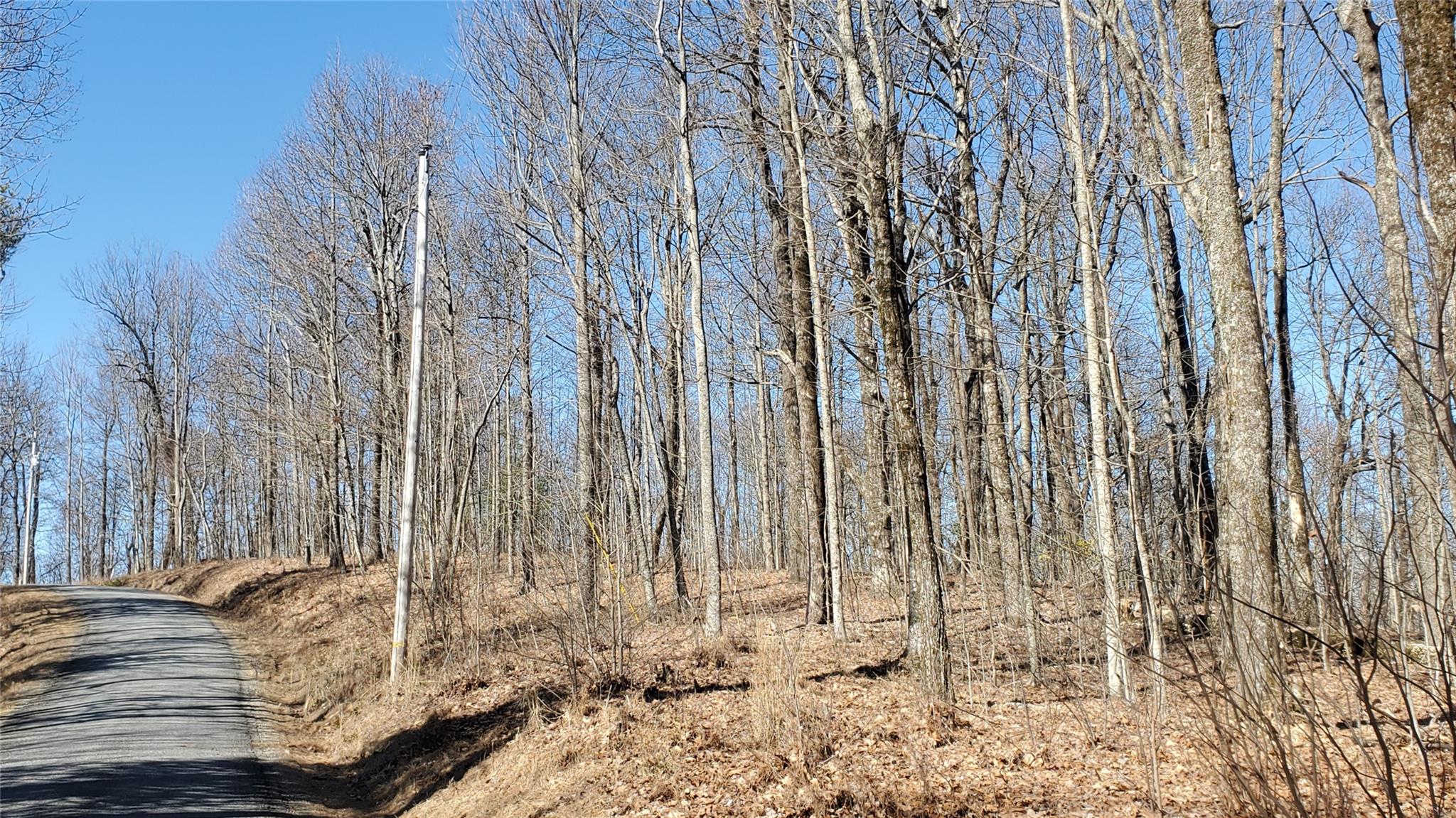 1101 Indian Camp Mountain Road
