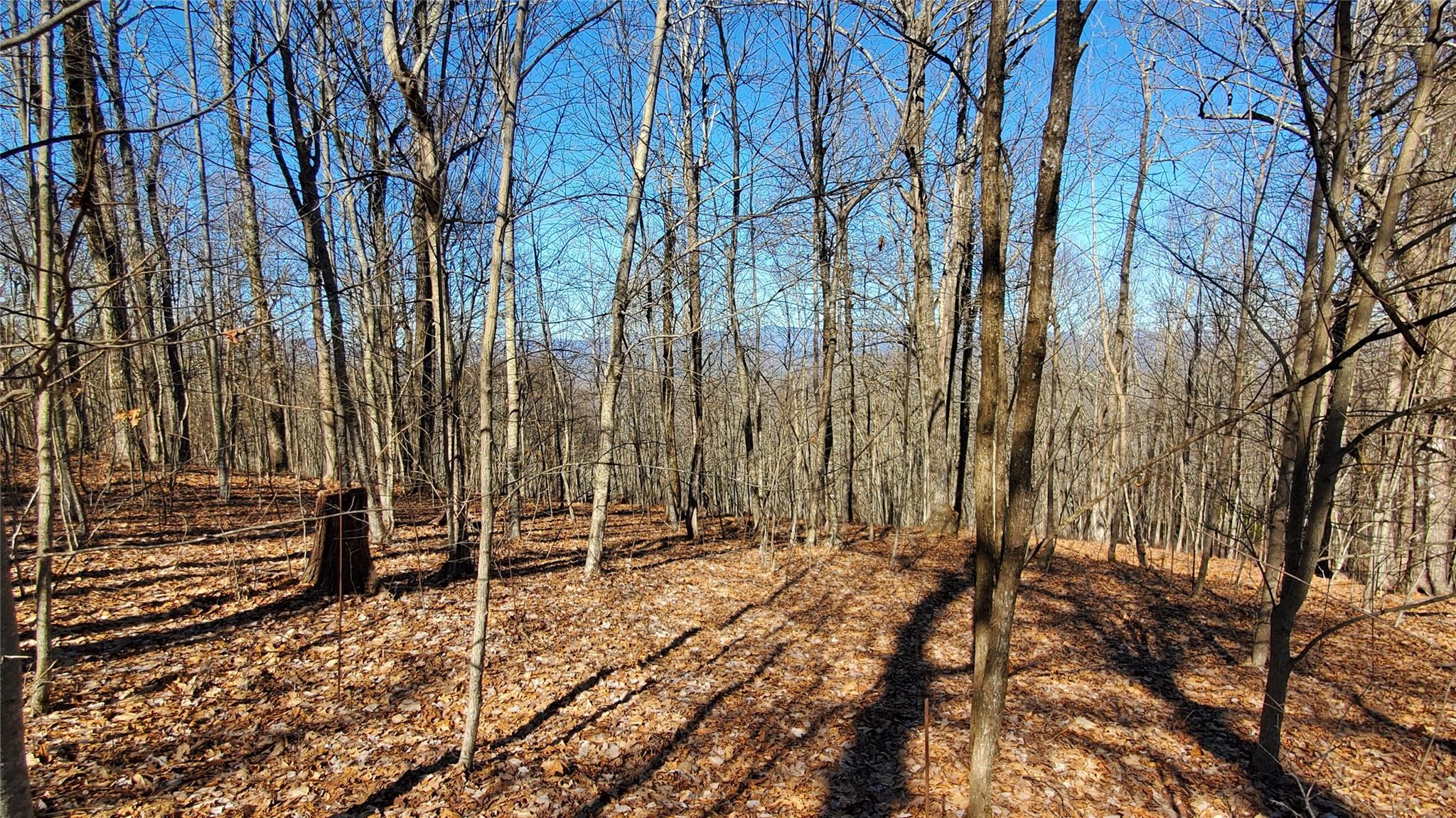 1101 Indian Camp Mountain Road