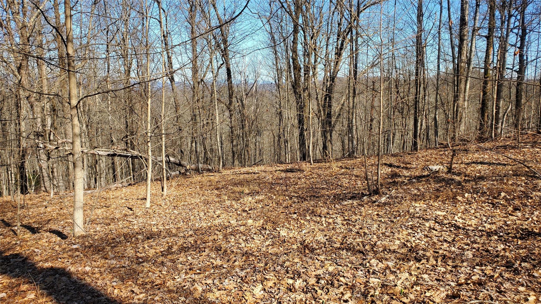 1101 Indian Camp Mountain Road