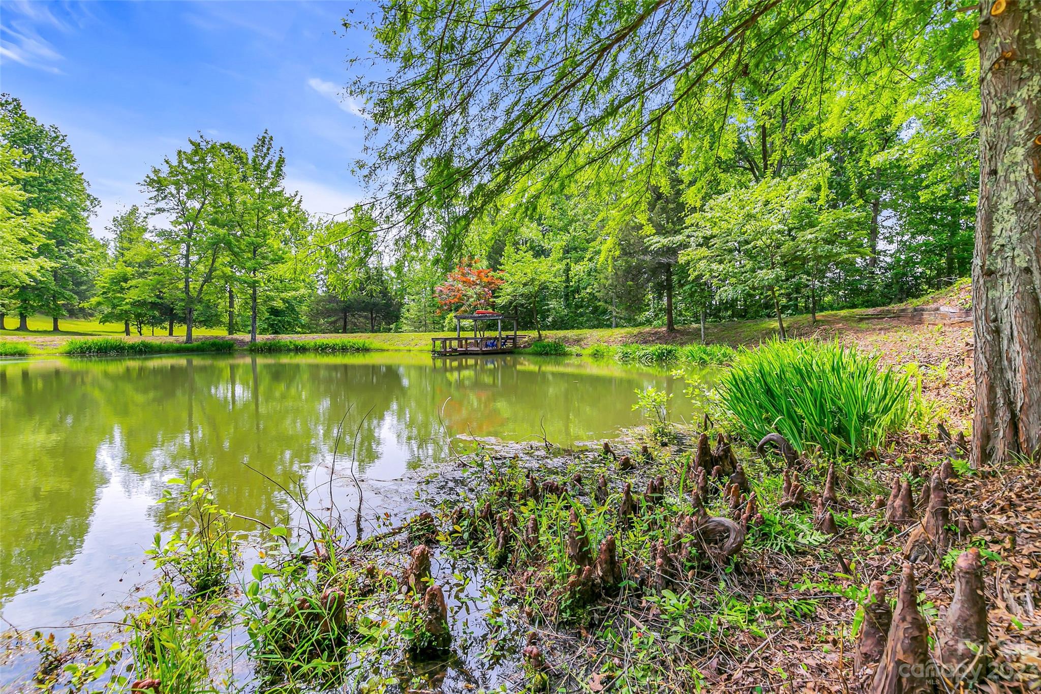 1034 Little Mountain Road