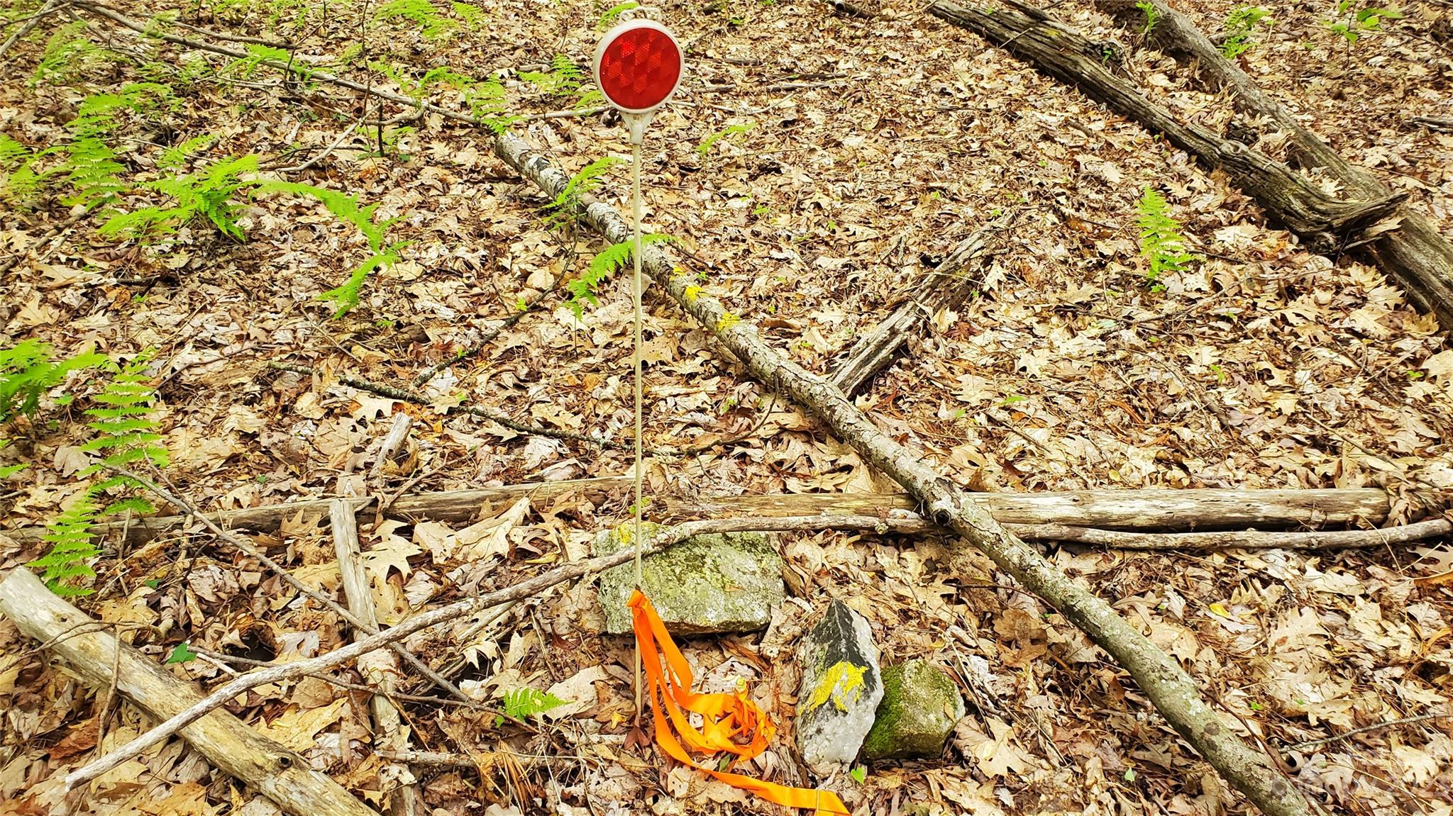135 Mad Bear Trail