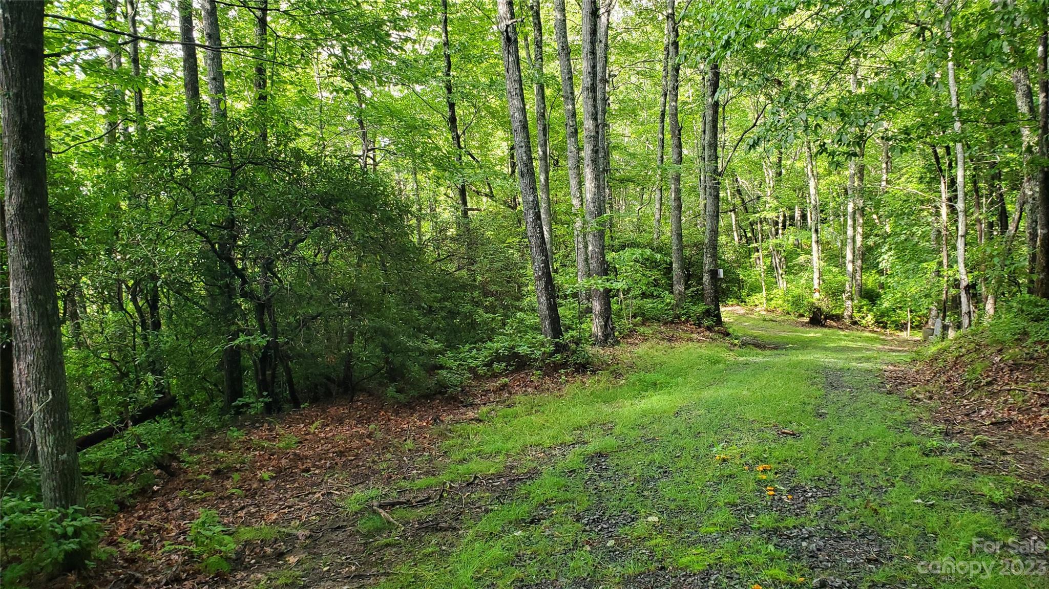 34 Maple Ridge Road