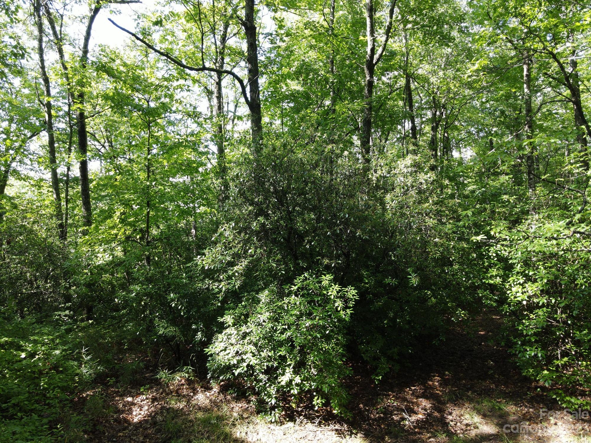 34 Maple Ridge Road