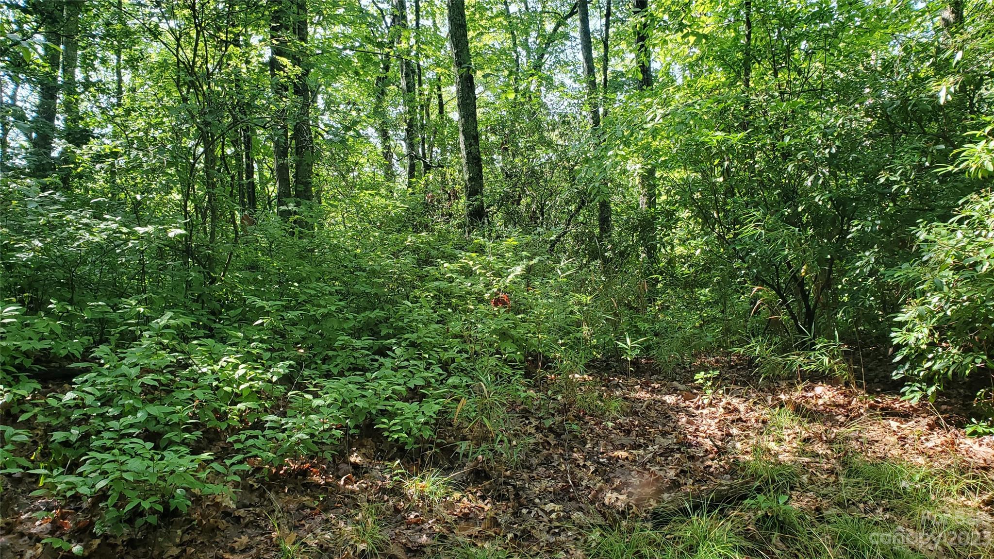 34 Maple Ridge Road