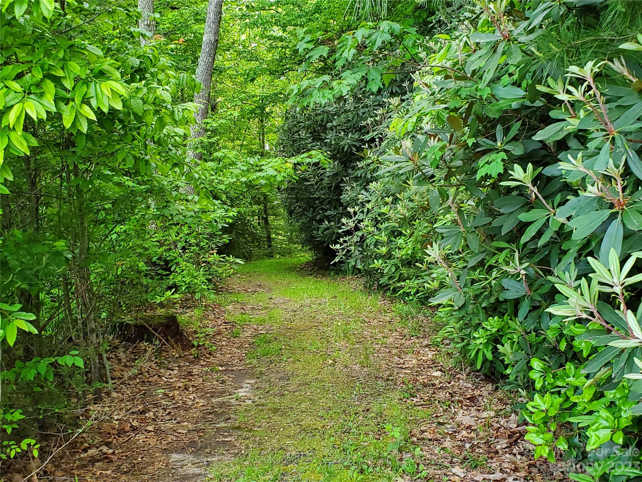 2349 Pisgah Forest Drive