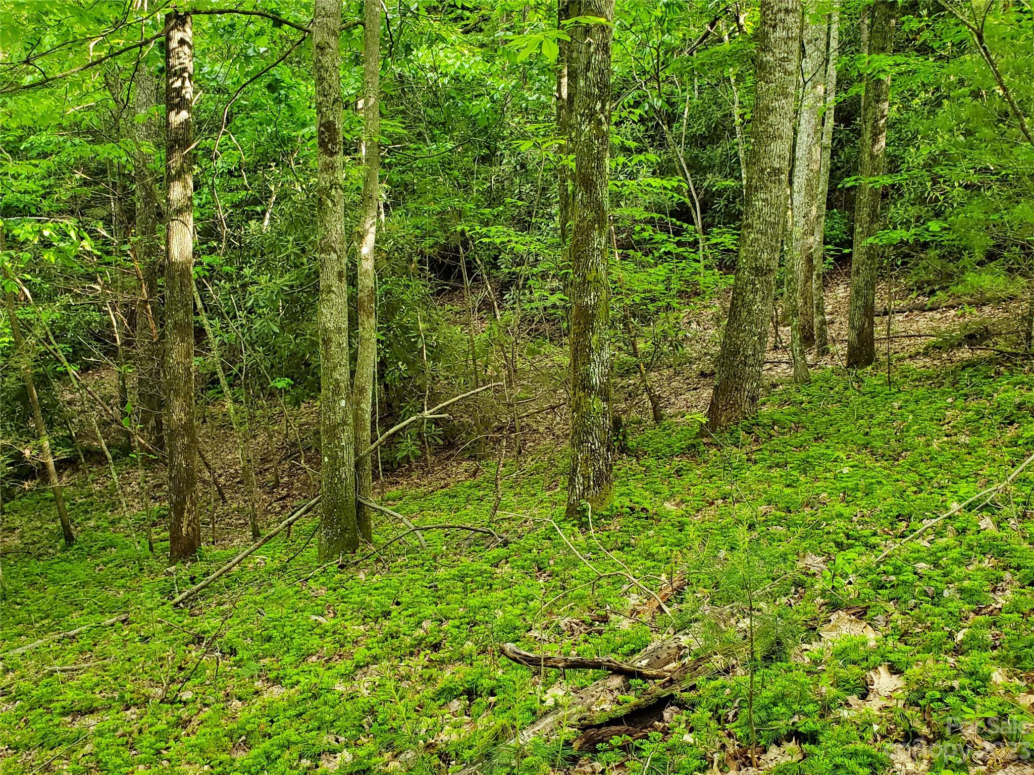 2349 Pisgah Forest Drive