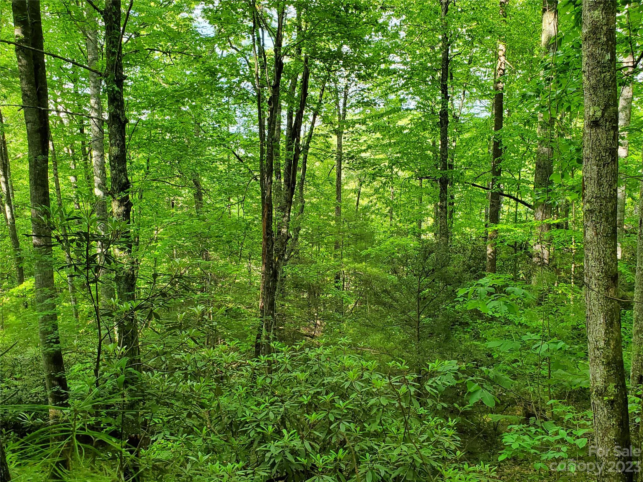 2349 Pisgah Forest Drive