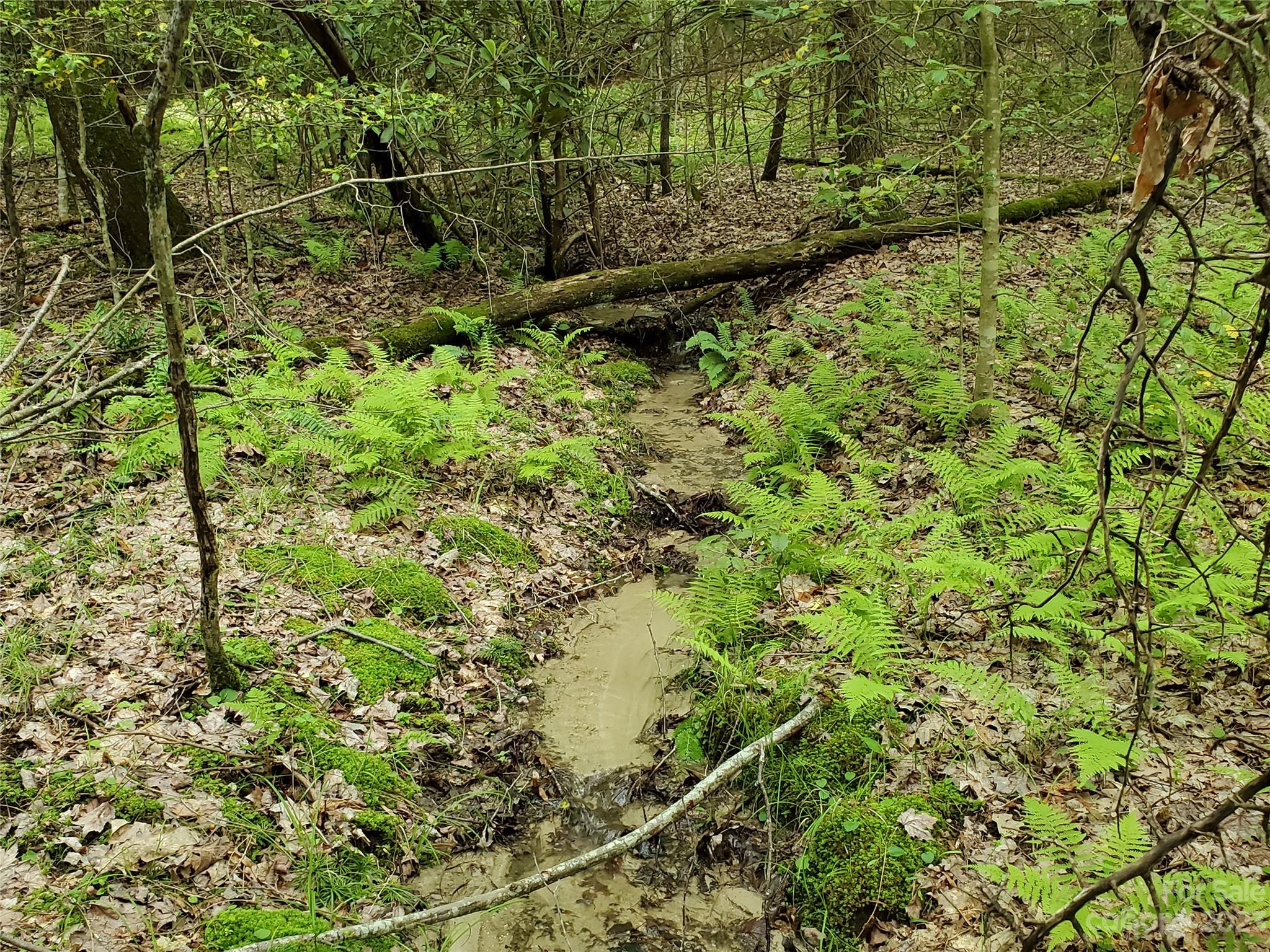 2349 Pisgah Forest Drive