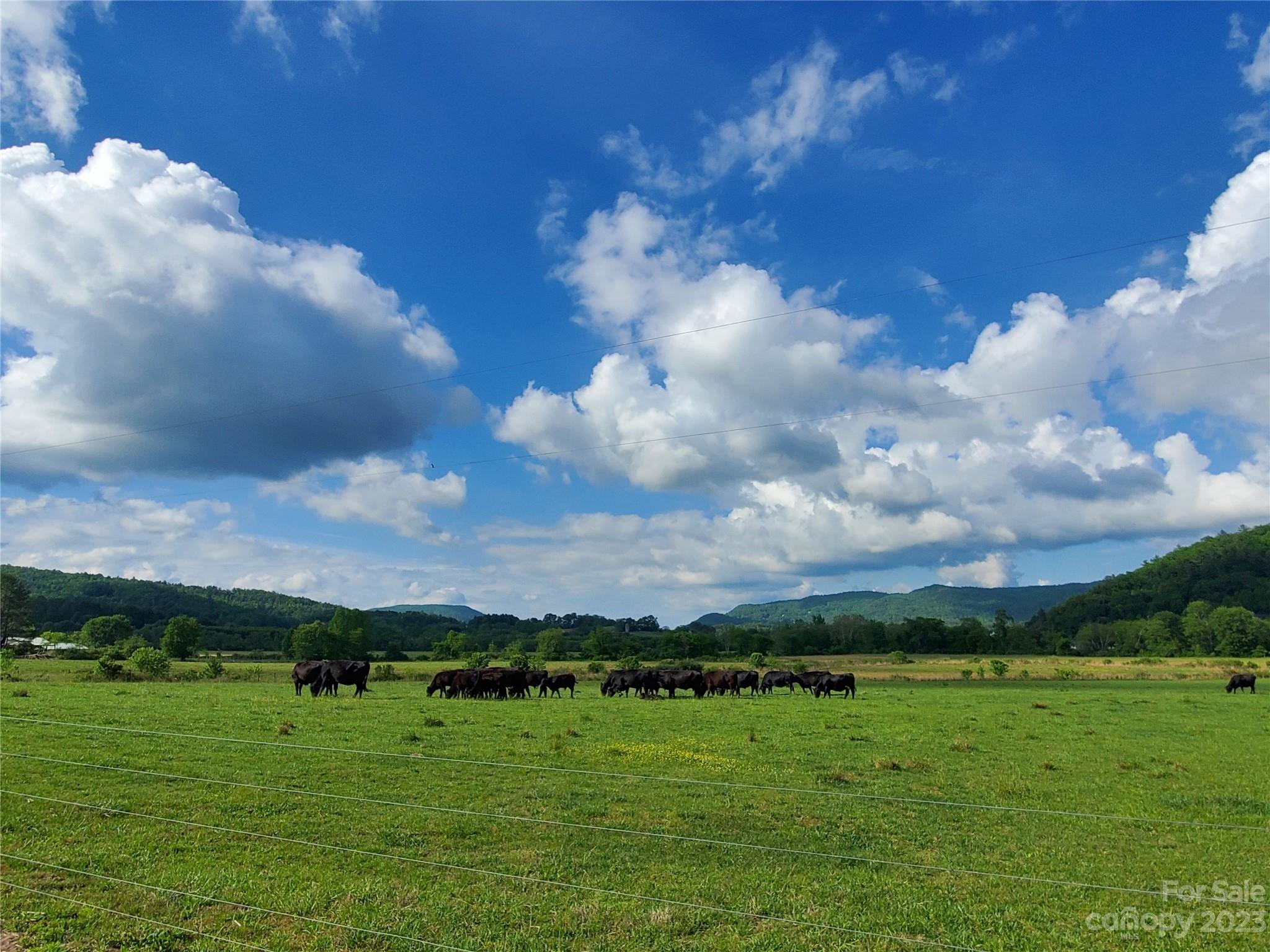 2349 Pisgah Forest Drive