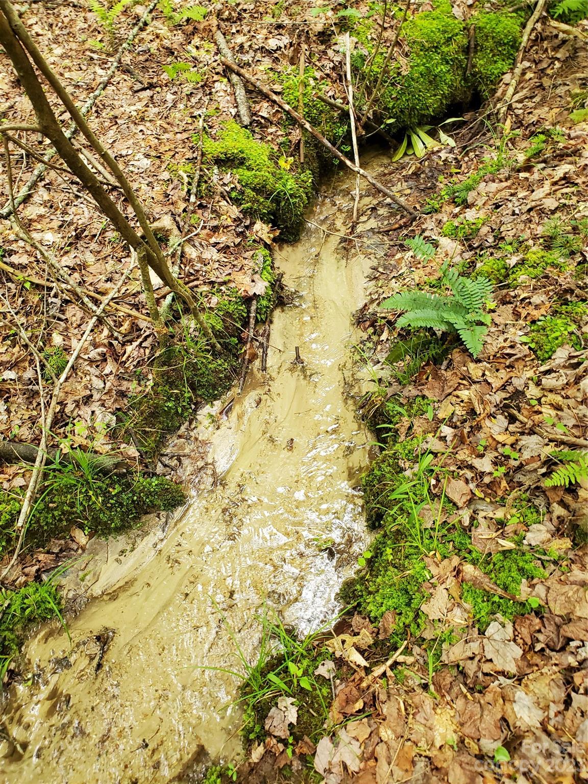 2349 Pisgah Forest Drive