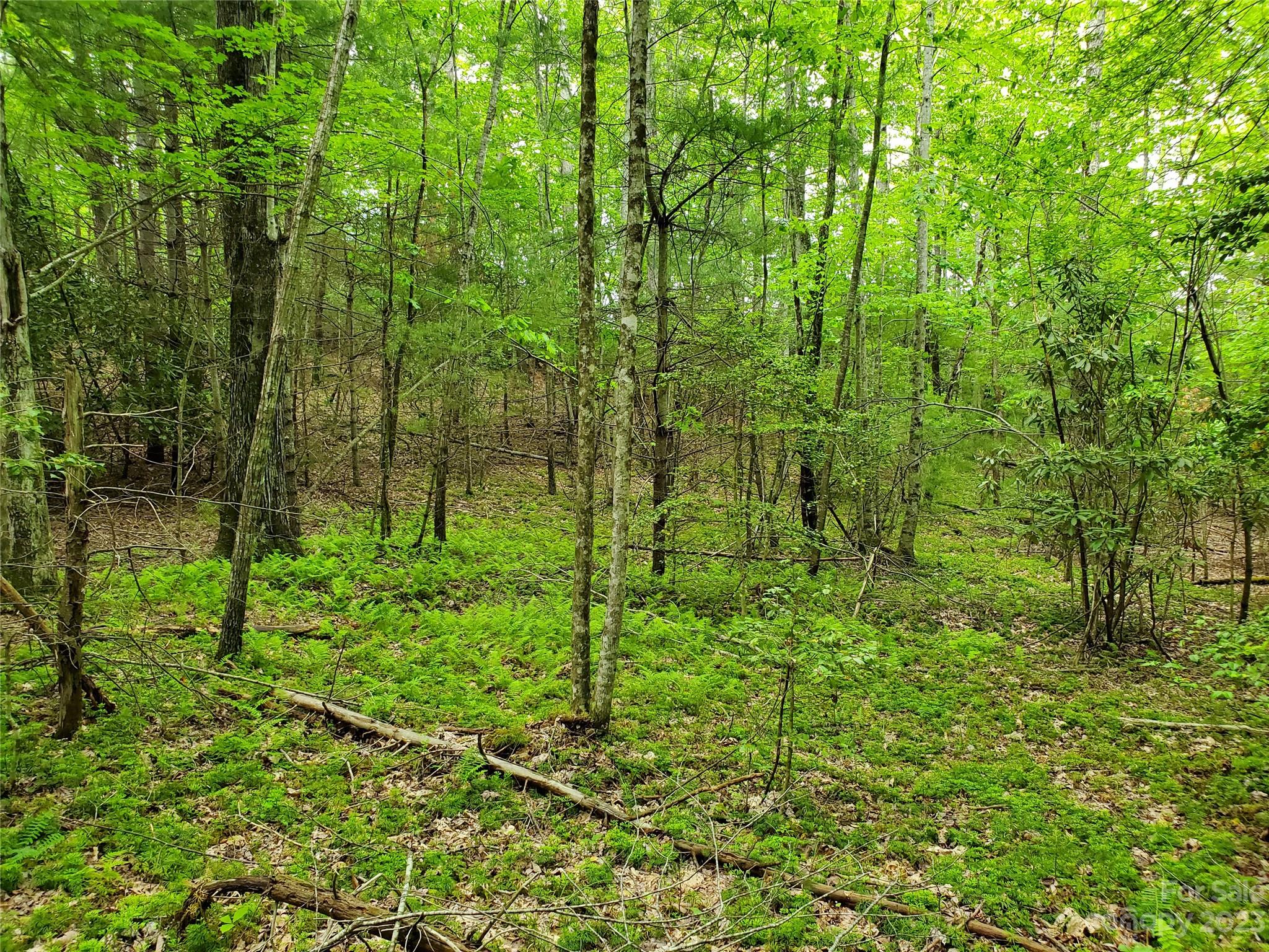 2349 Pisgah Forest Drive