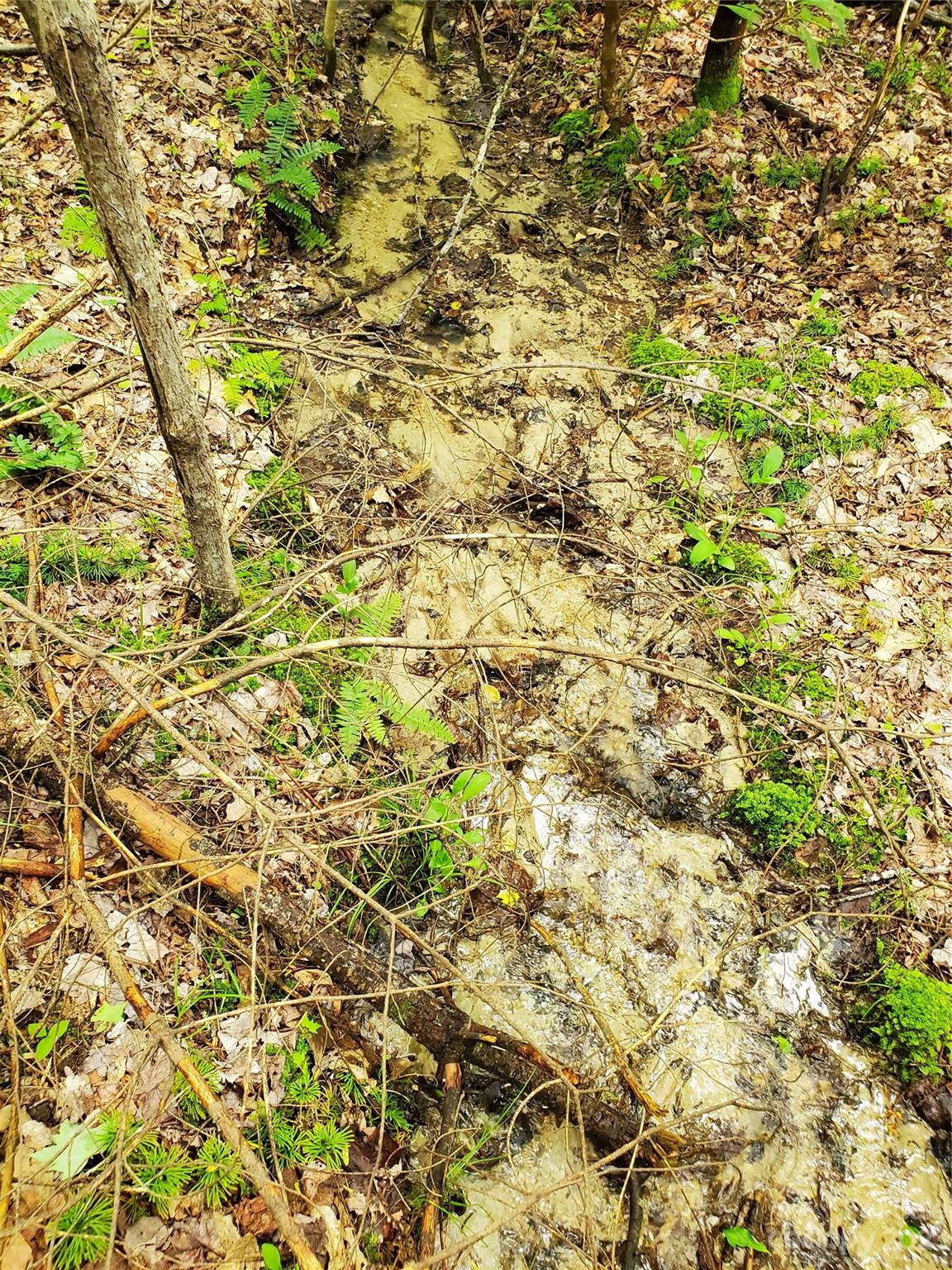 2349 Pisgah Forest Drive