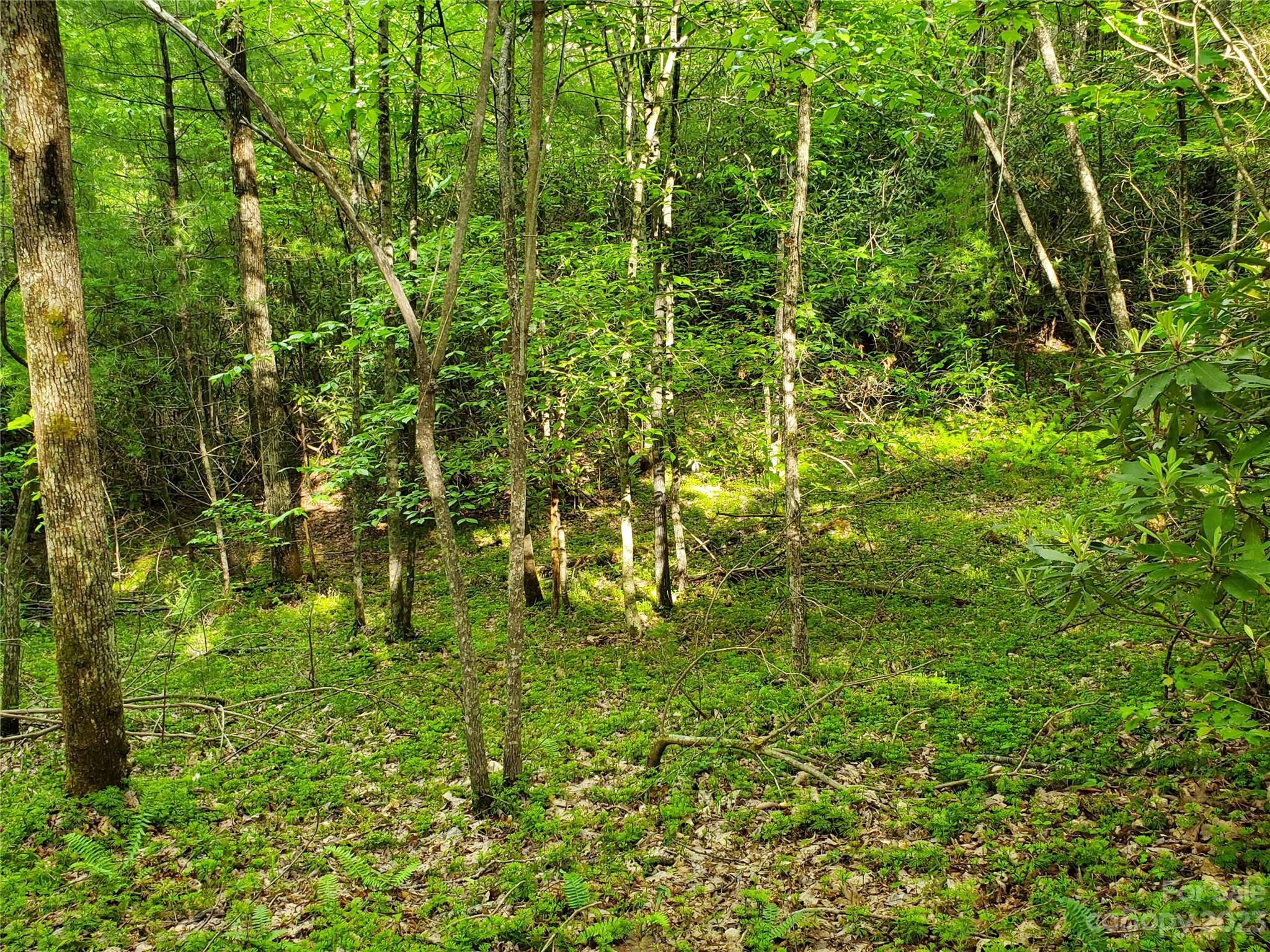 2349 Pisgah Forest Drive