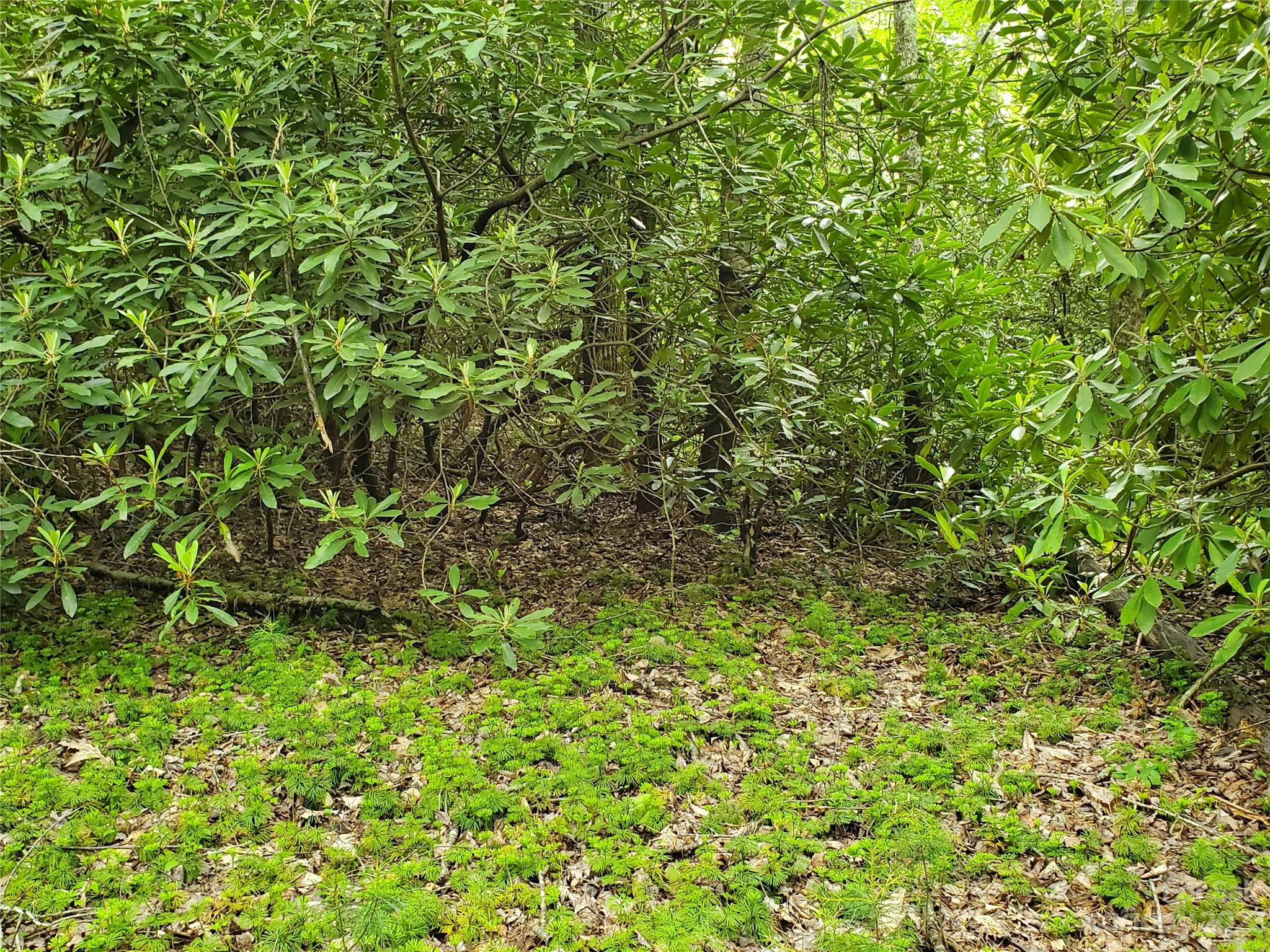 2349 Pisgah Forest Drive