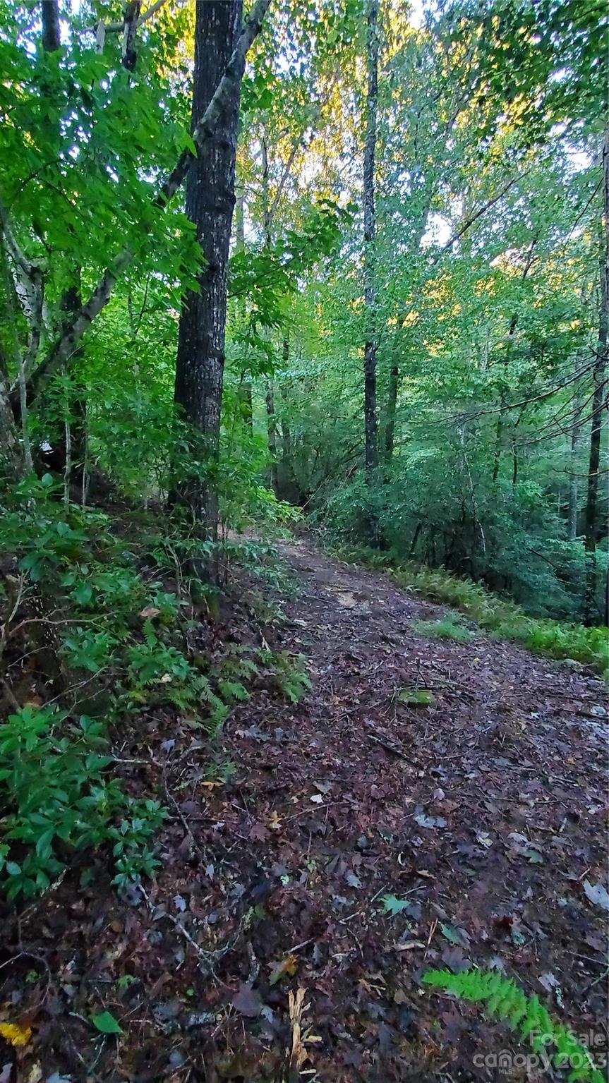 25 Creek Road