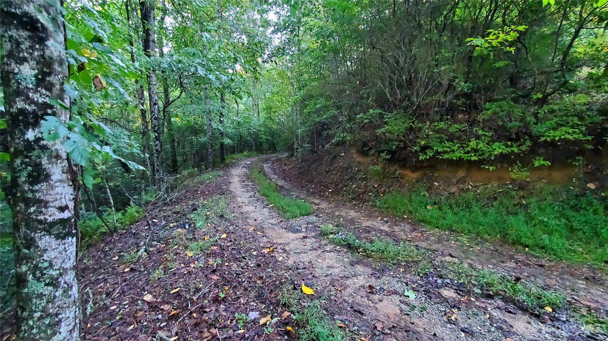 25 Creek Road