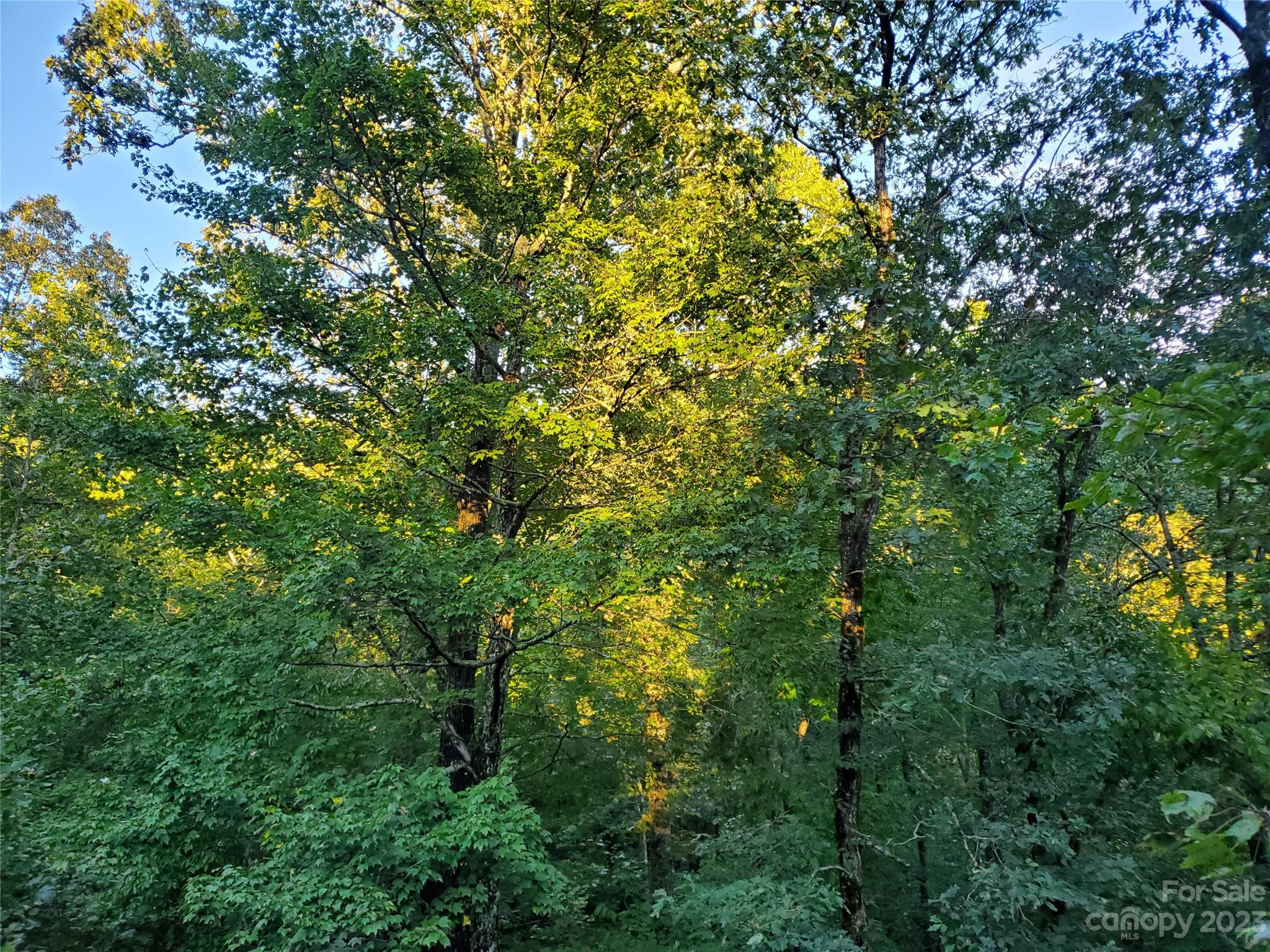 25 Creek Road