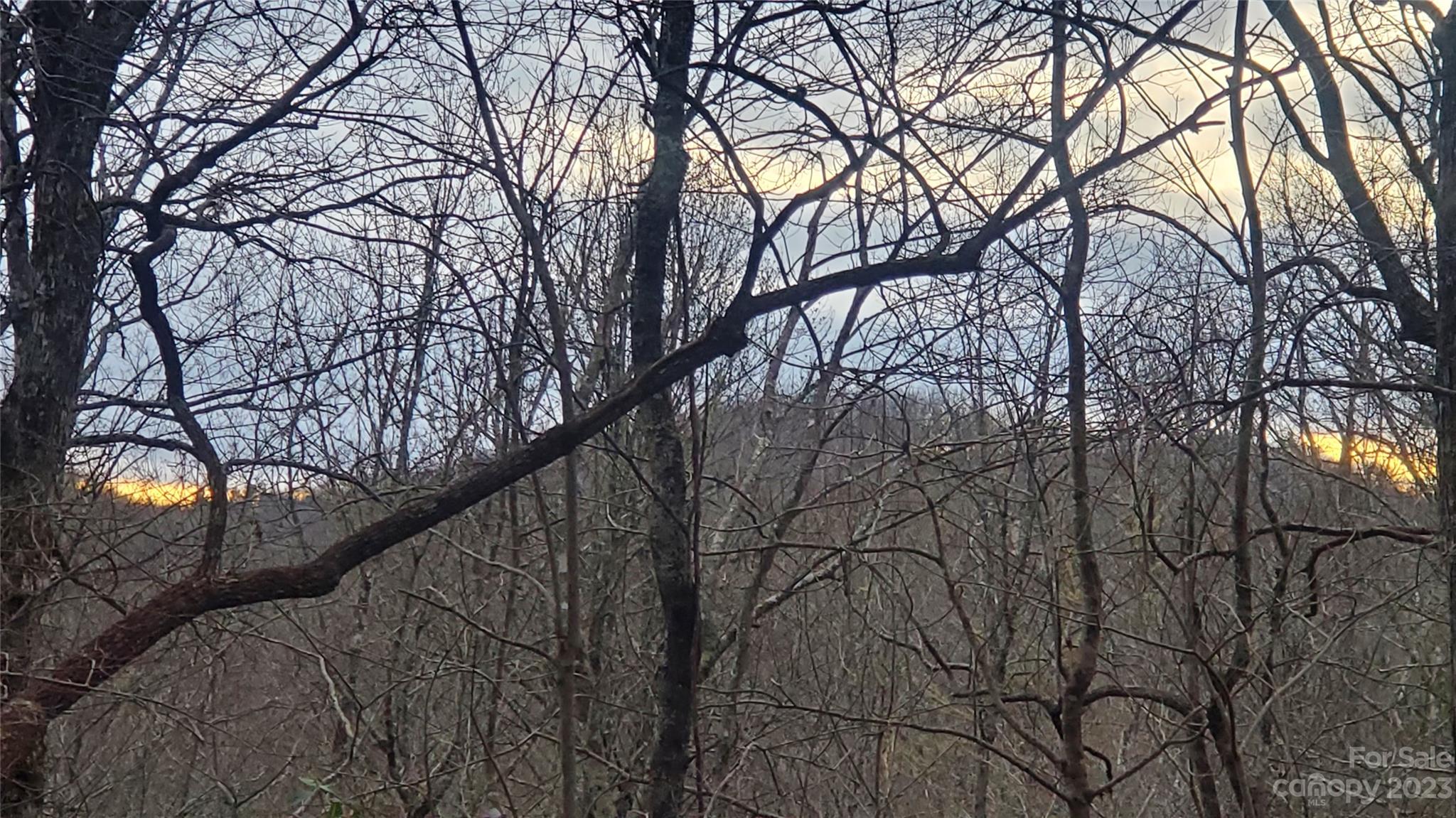 25 Creek Road