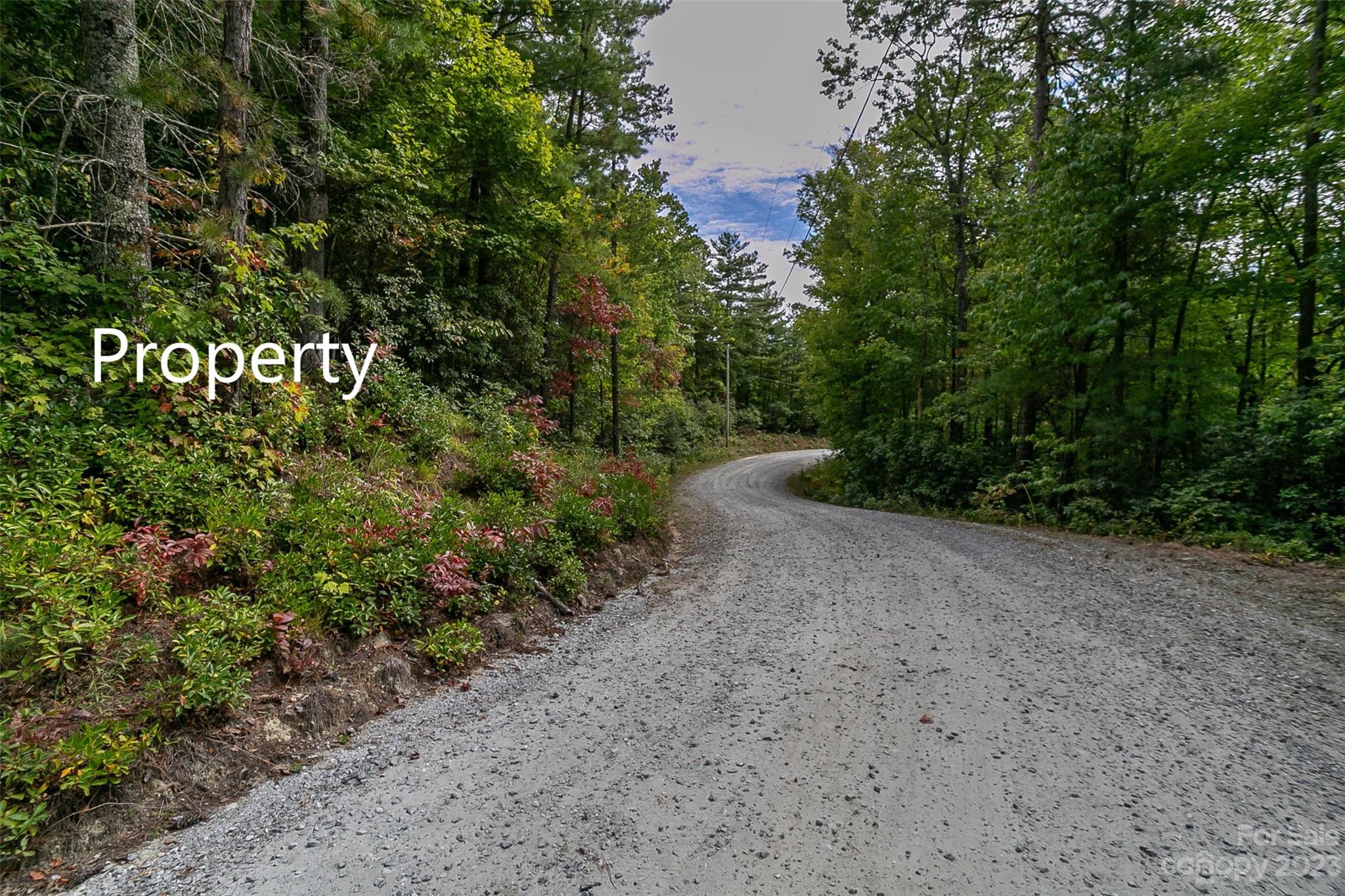 87 Oak Laurel Road