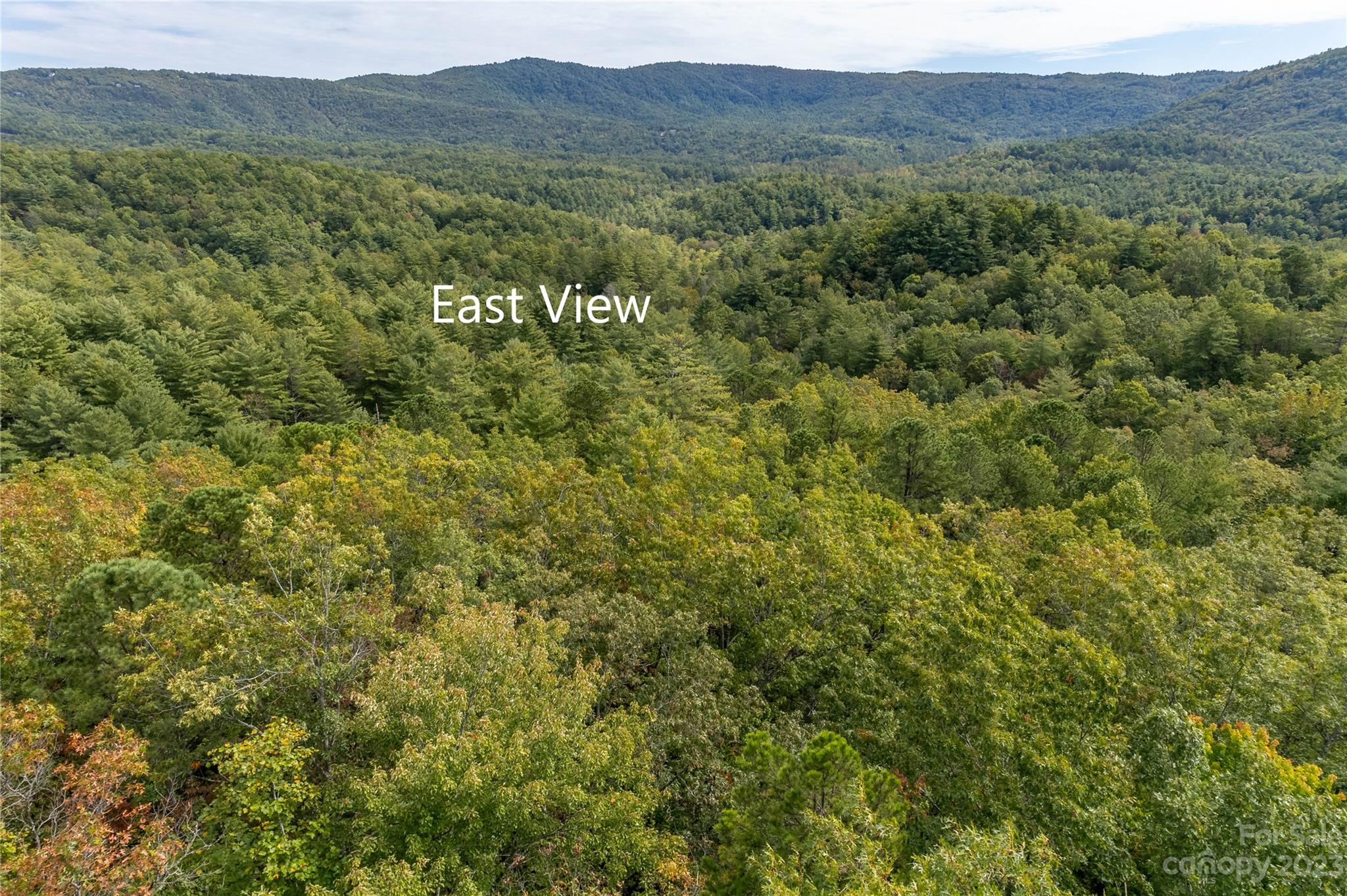 87 Oak Laurel Road