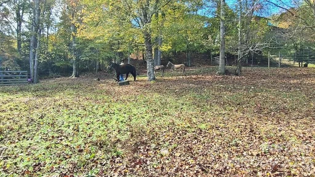536 Davis Creek Road