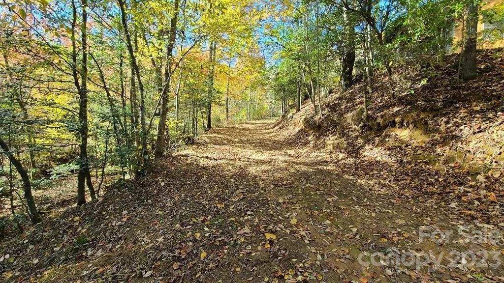 536 Davis Creek Road
