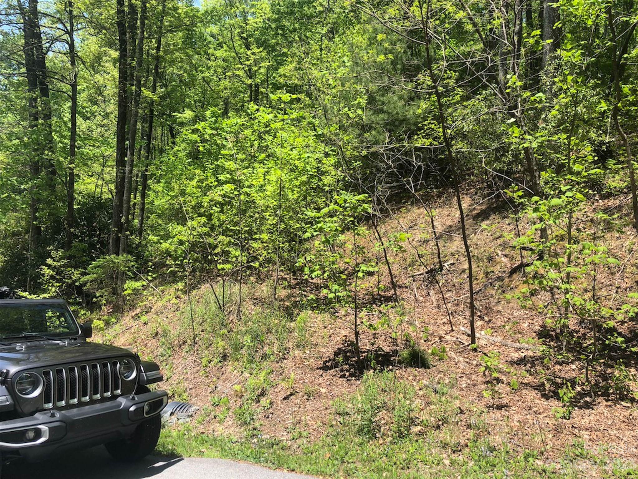 TBD Laurel Thicket Lane