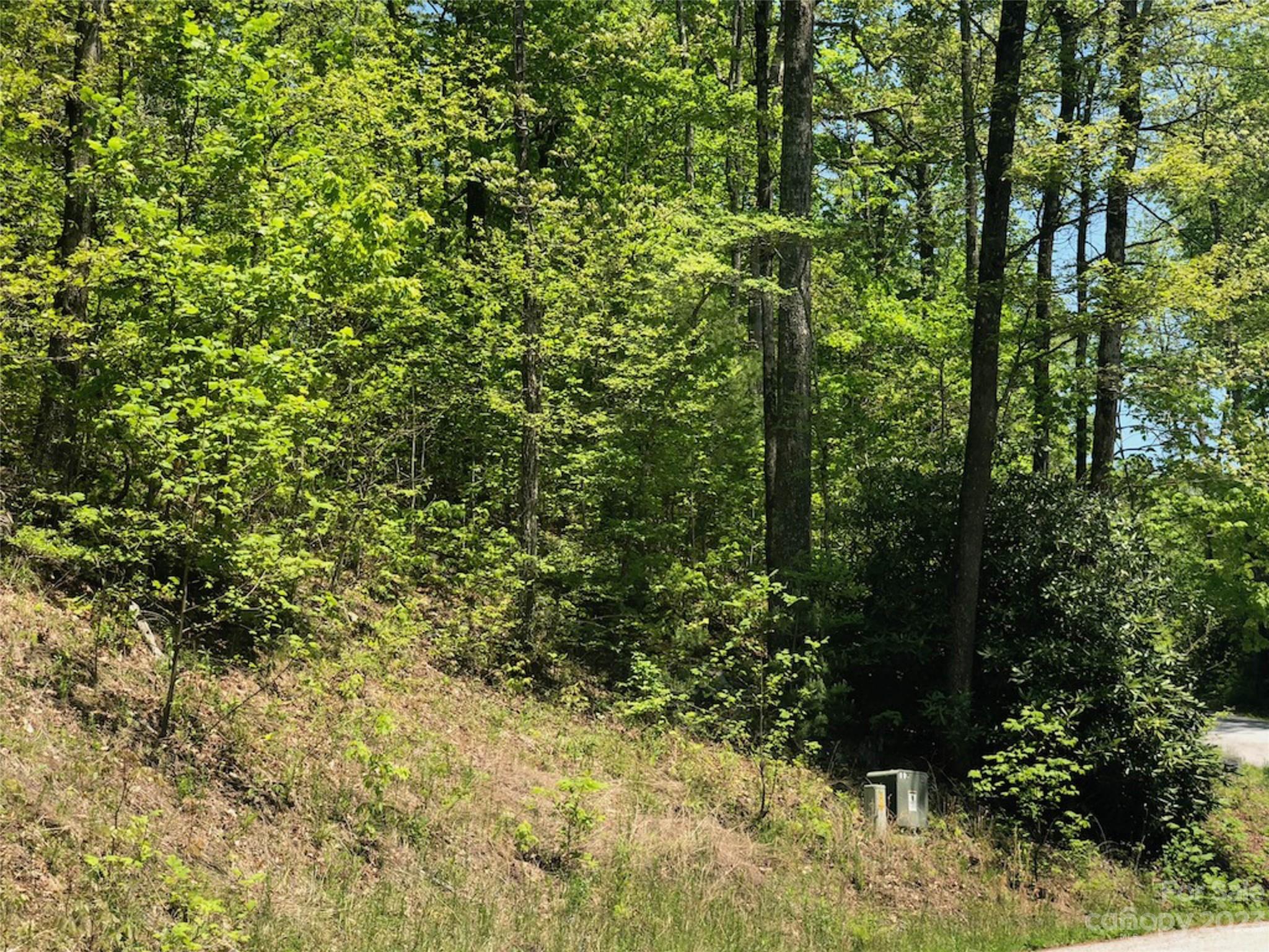TBD Laurel Thicket Lane