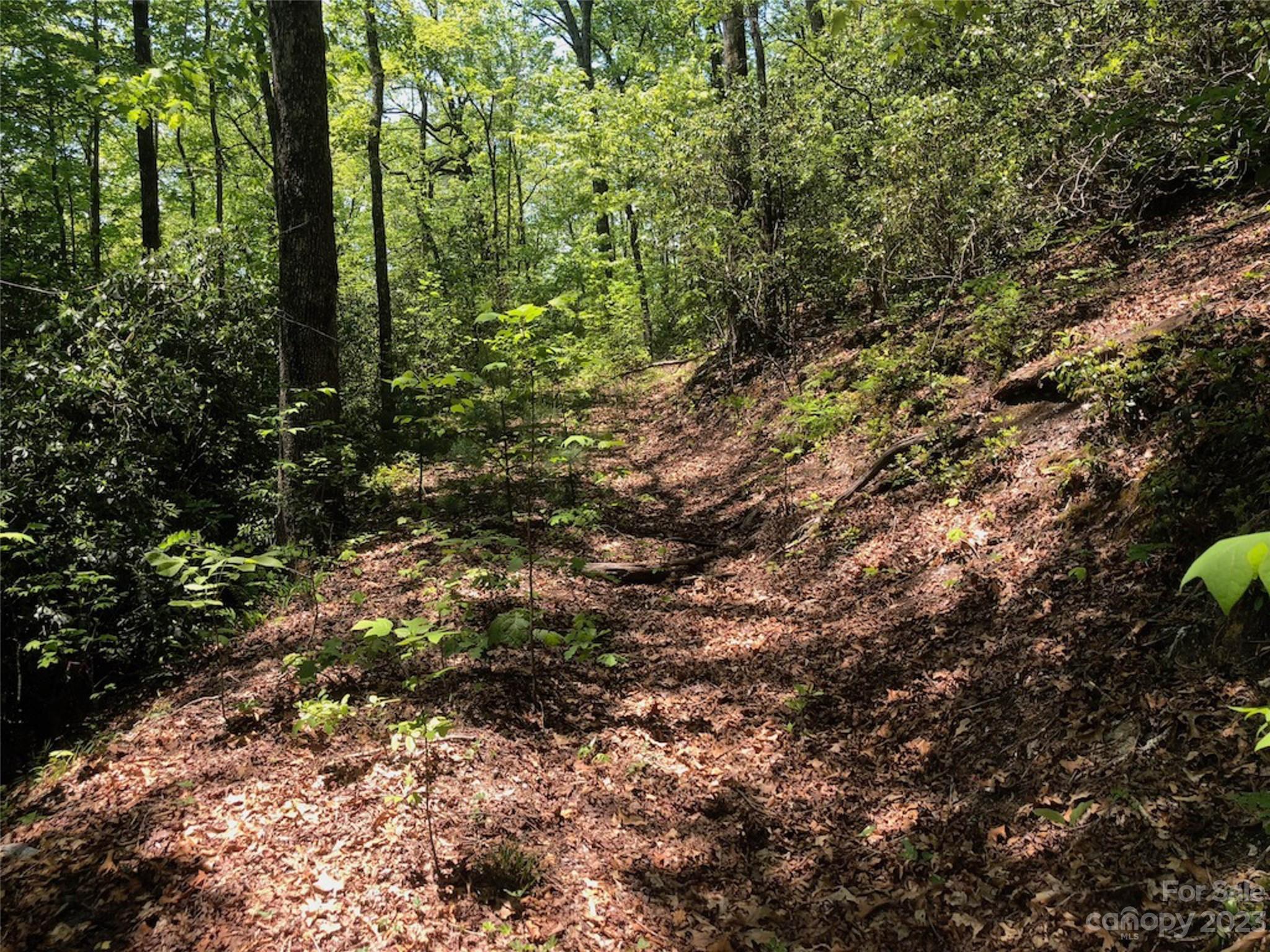 TBD Laurel Thicket Lane