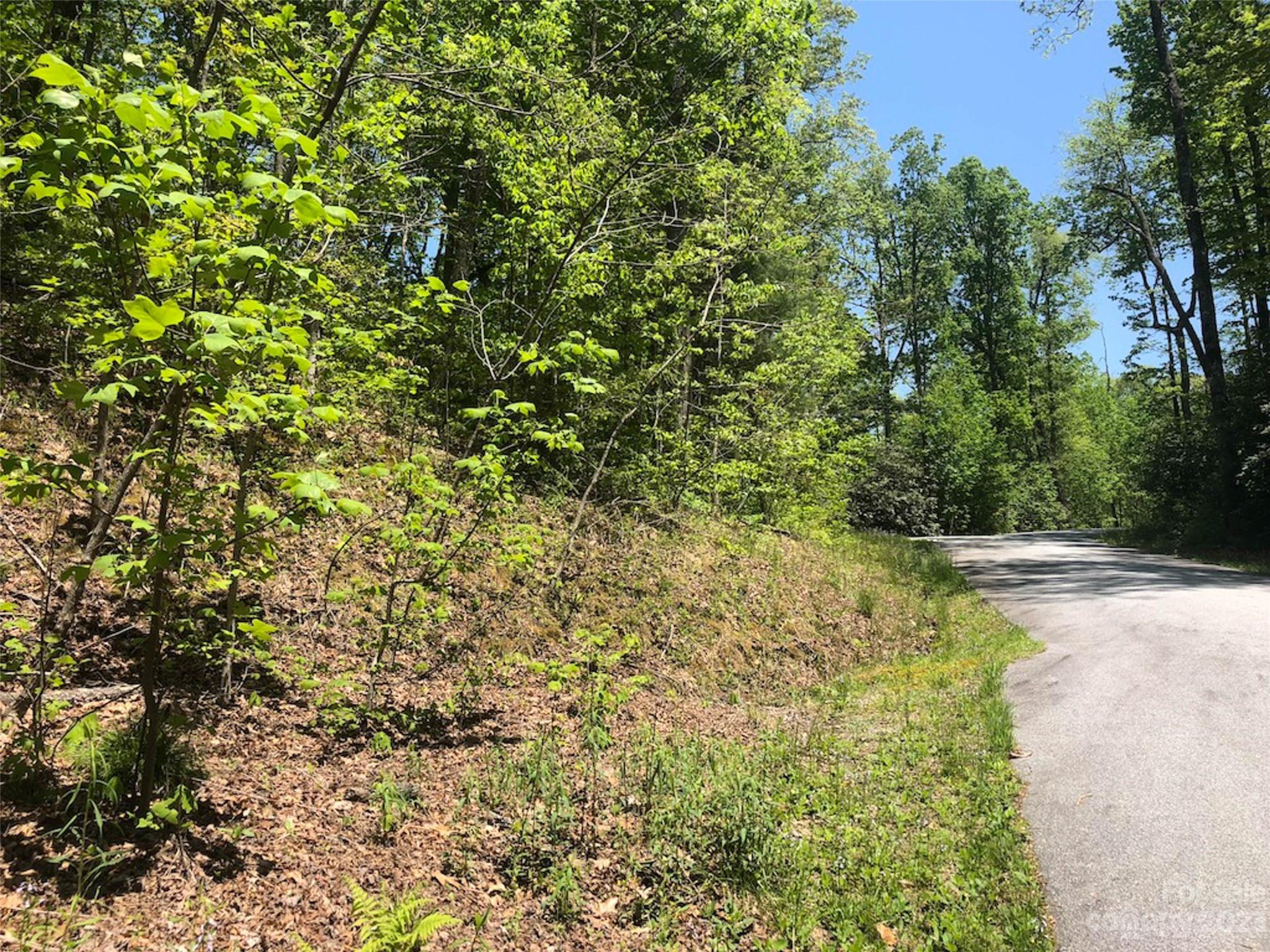 TBD Laurel Thicket Lane