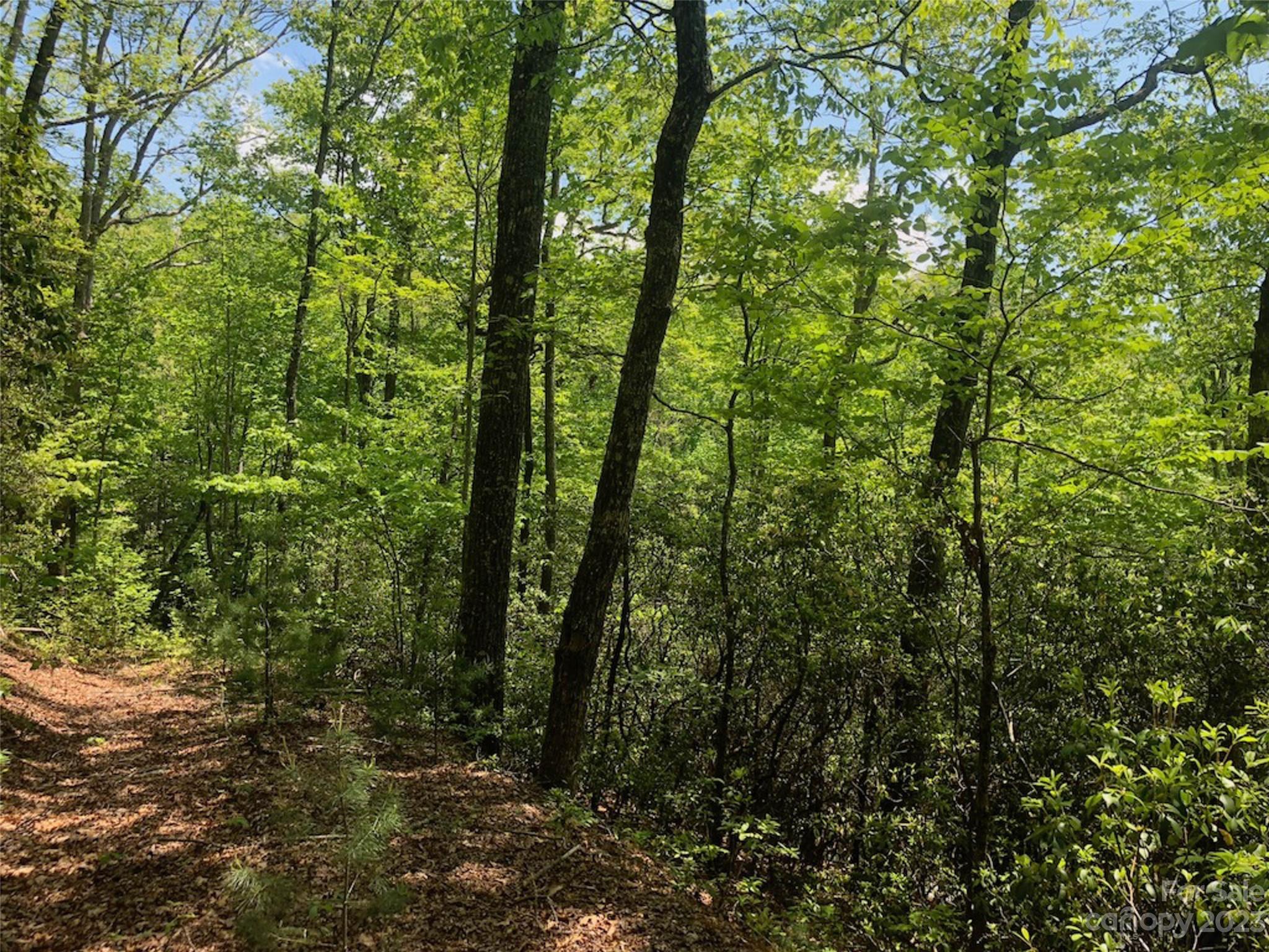 TBD Laurel Thicket Lane