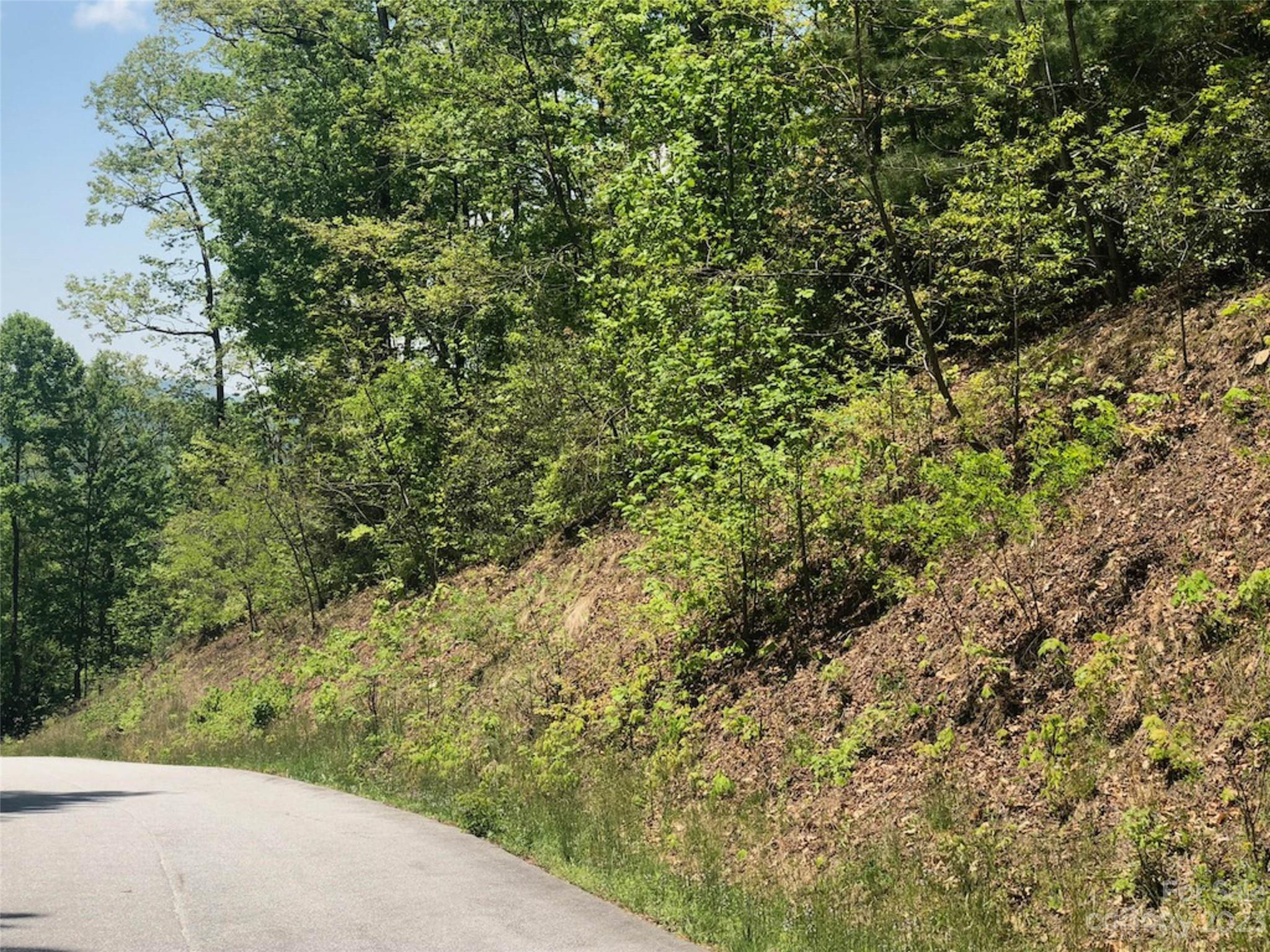 TBD Laurel Thicket Lane