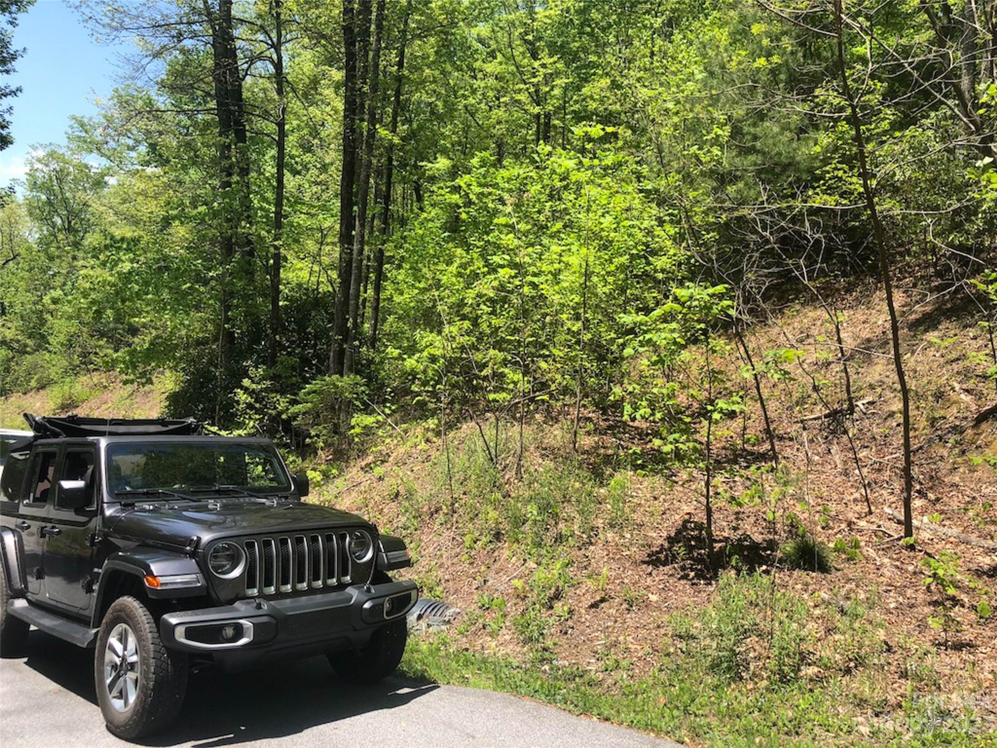 TBD Laurel Thicket Lane