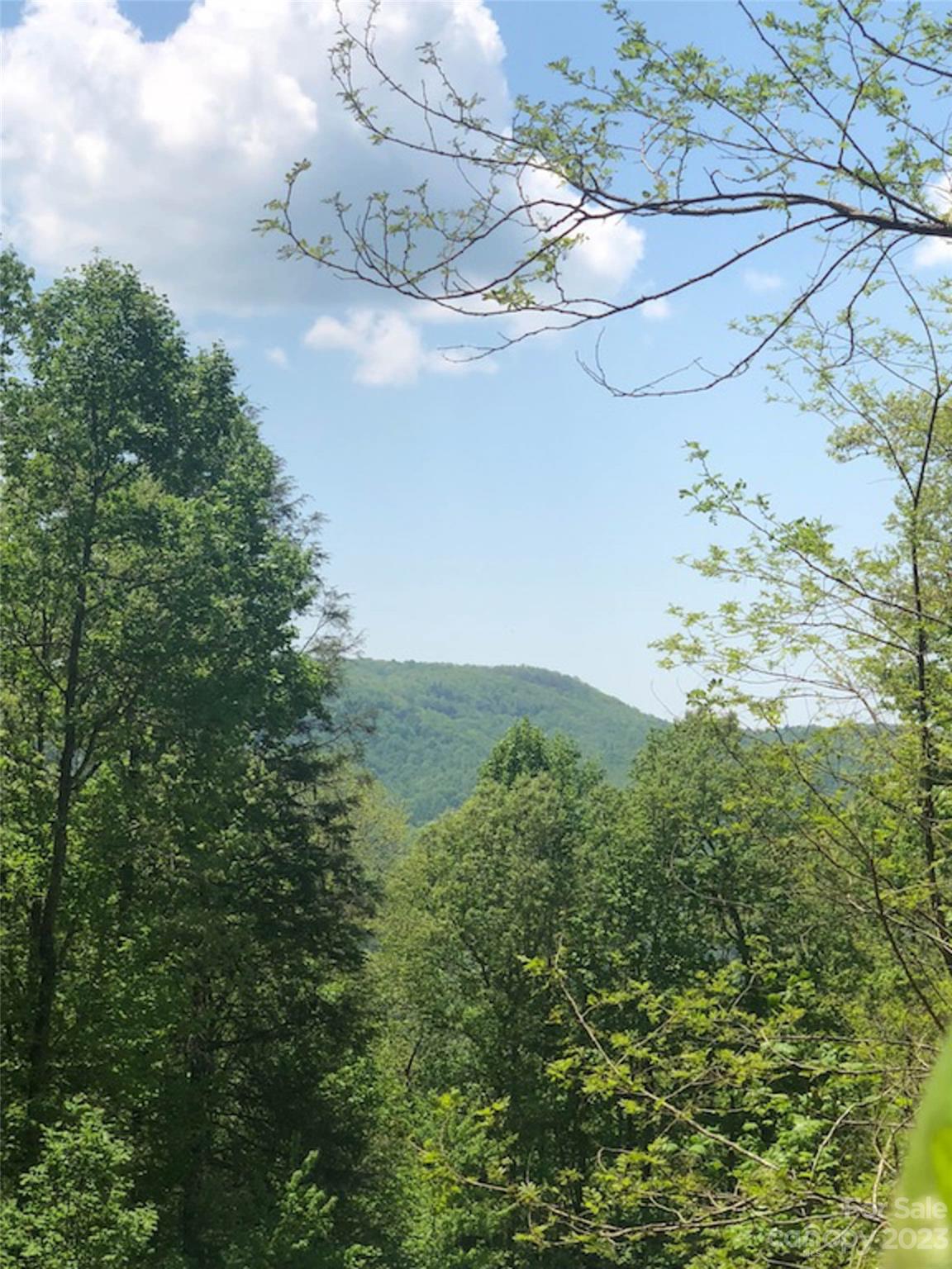 TBD Laurel Thicket Lane