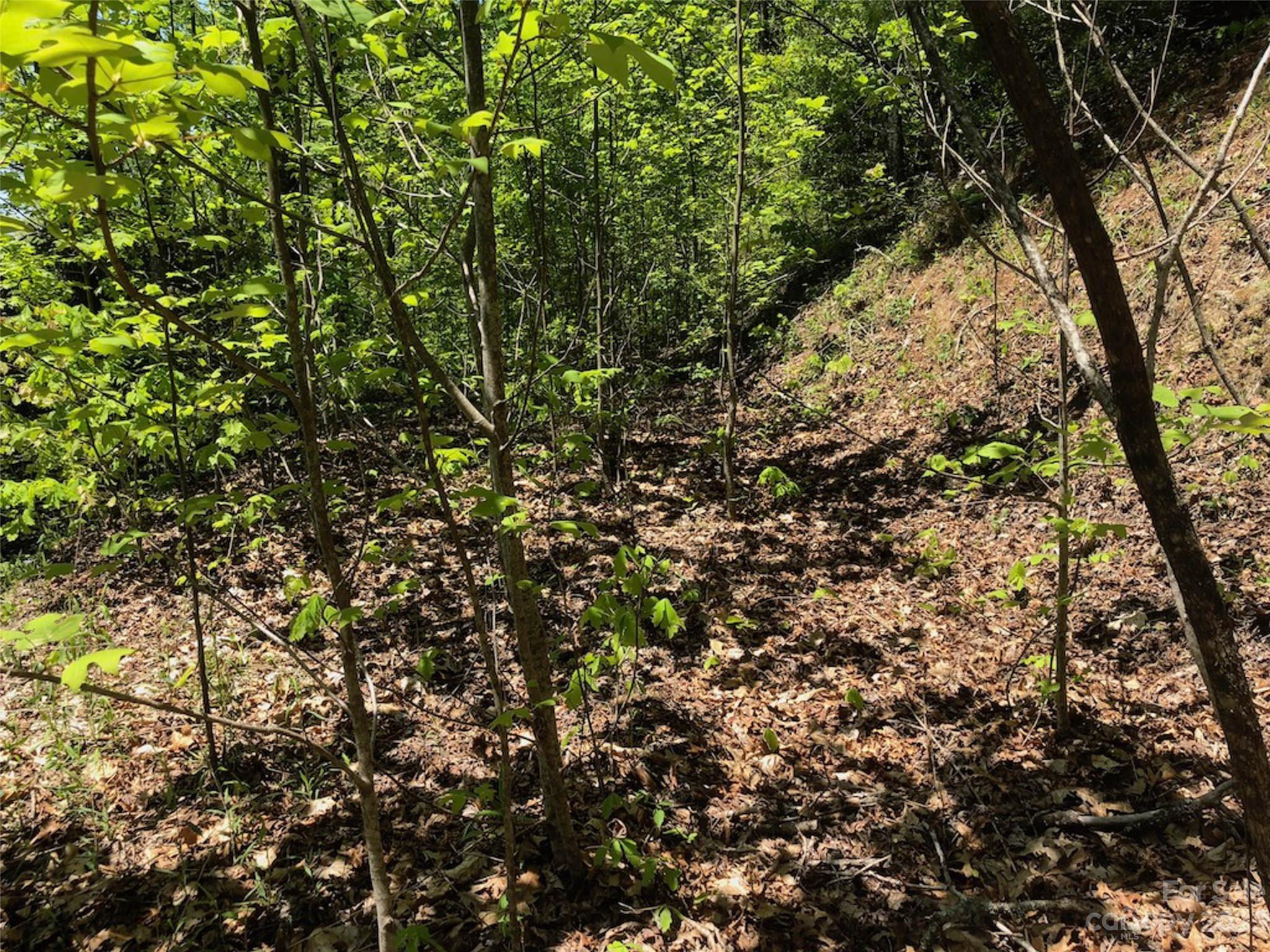 TBD Laurel Thicket Lane
