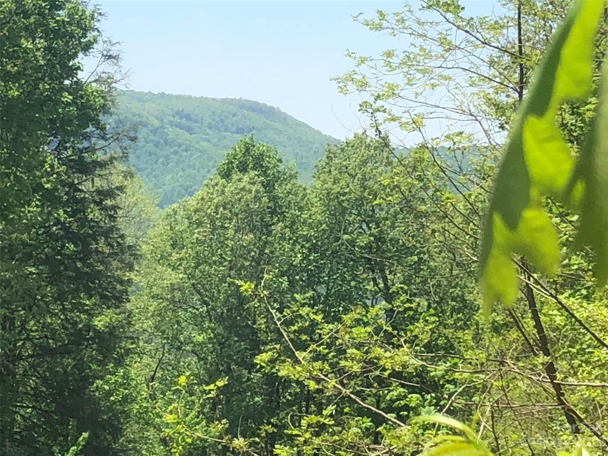 TBD Laurel Thicket Lane