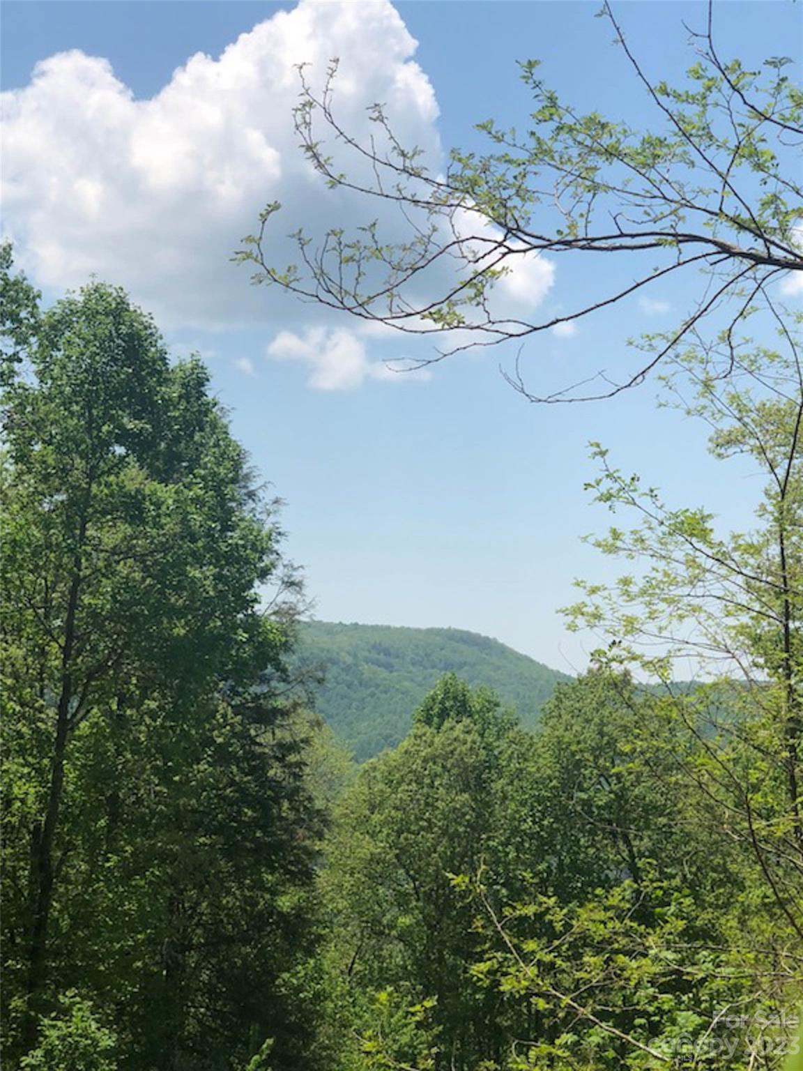 TBD Laurel Thicket Lane