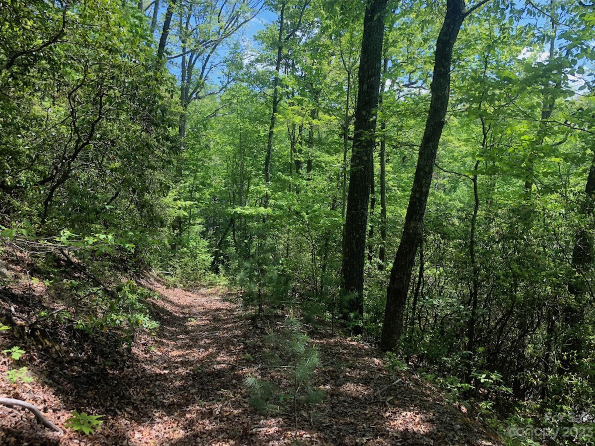 TBD Laurel Thicket Lane