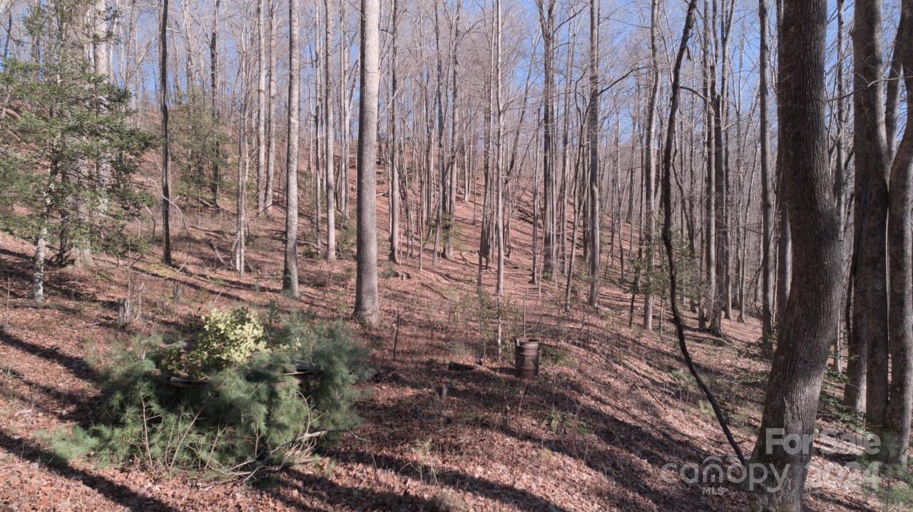 00 Dodson Road