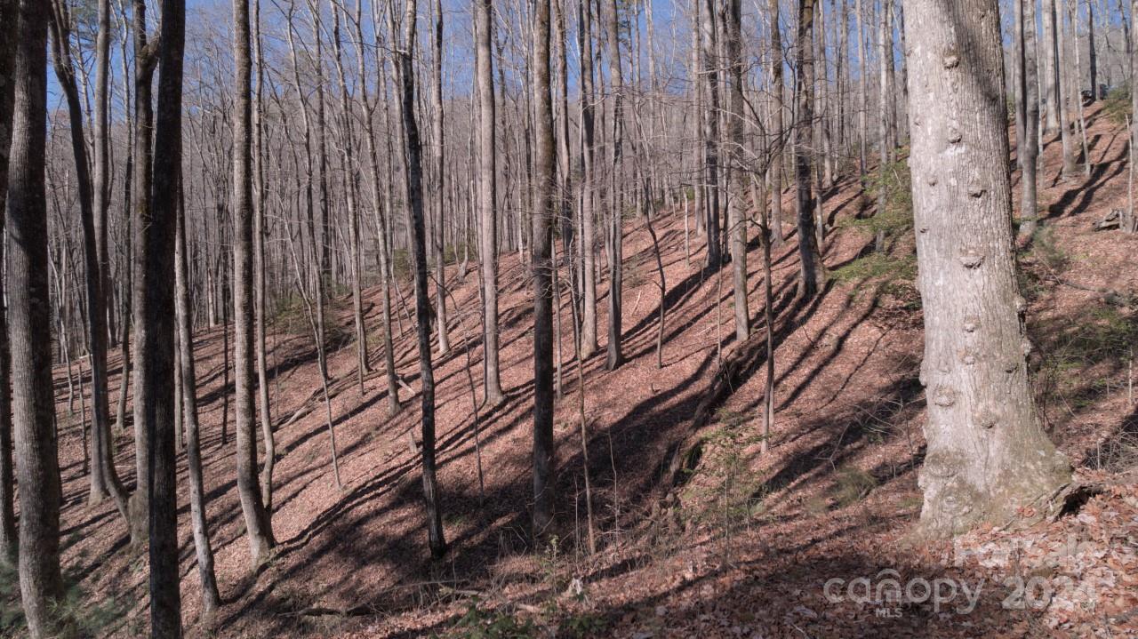 00 Dodson Road