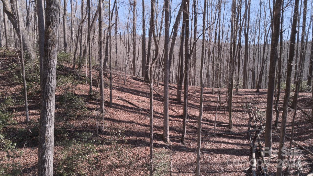 00 Dodson Road