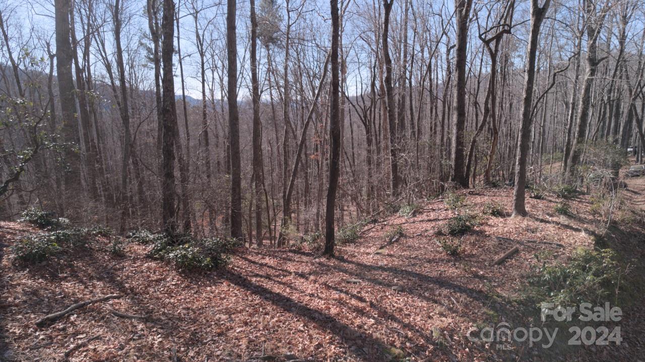 00 Dodson Road