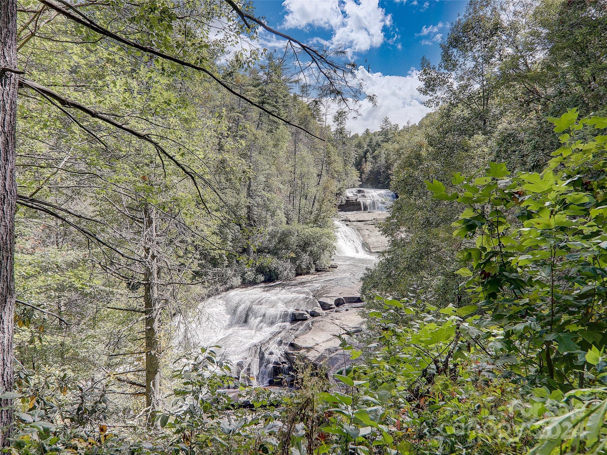 1191 Dupont Road