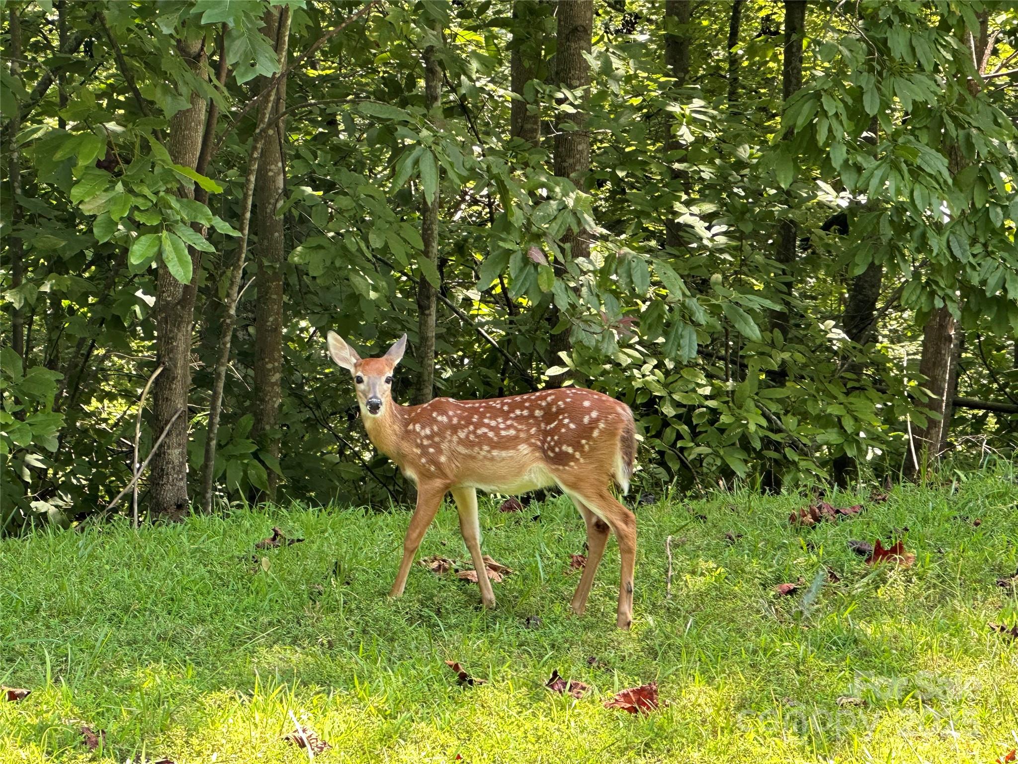 Lot 62 Lake Adger Parkway