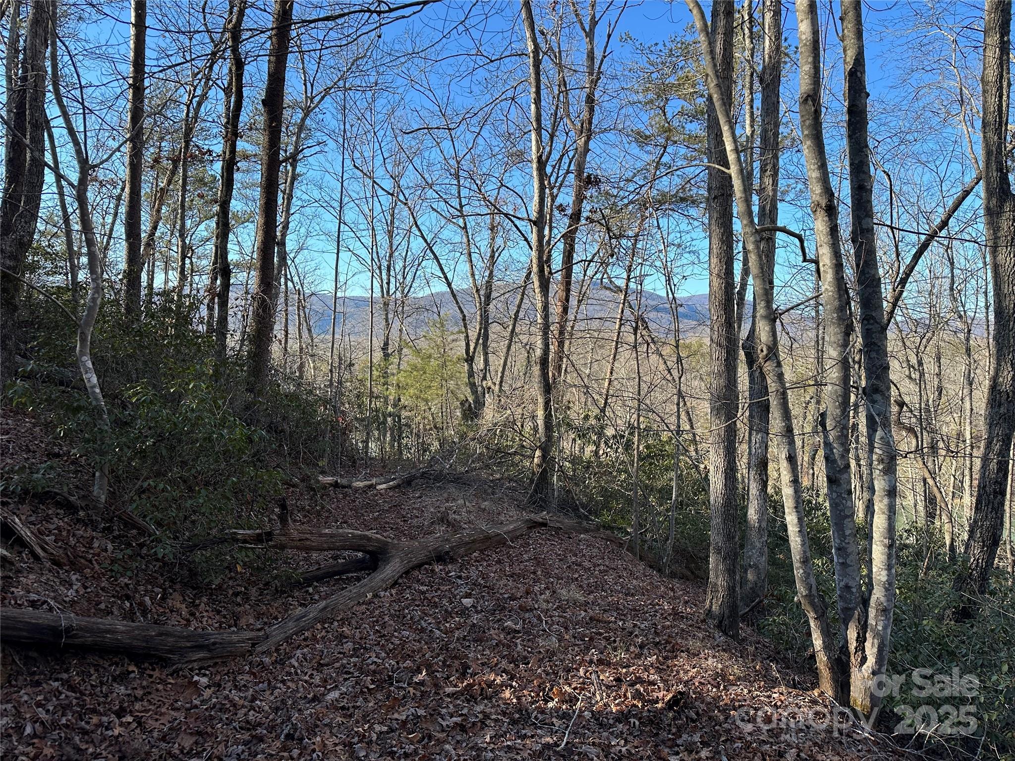 Lot 62 Lake Adger Parkway