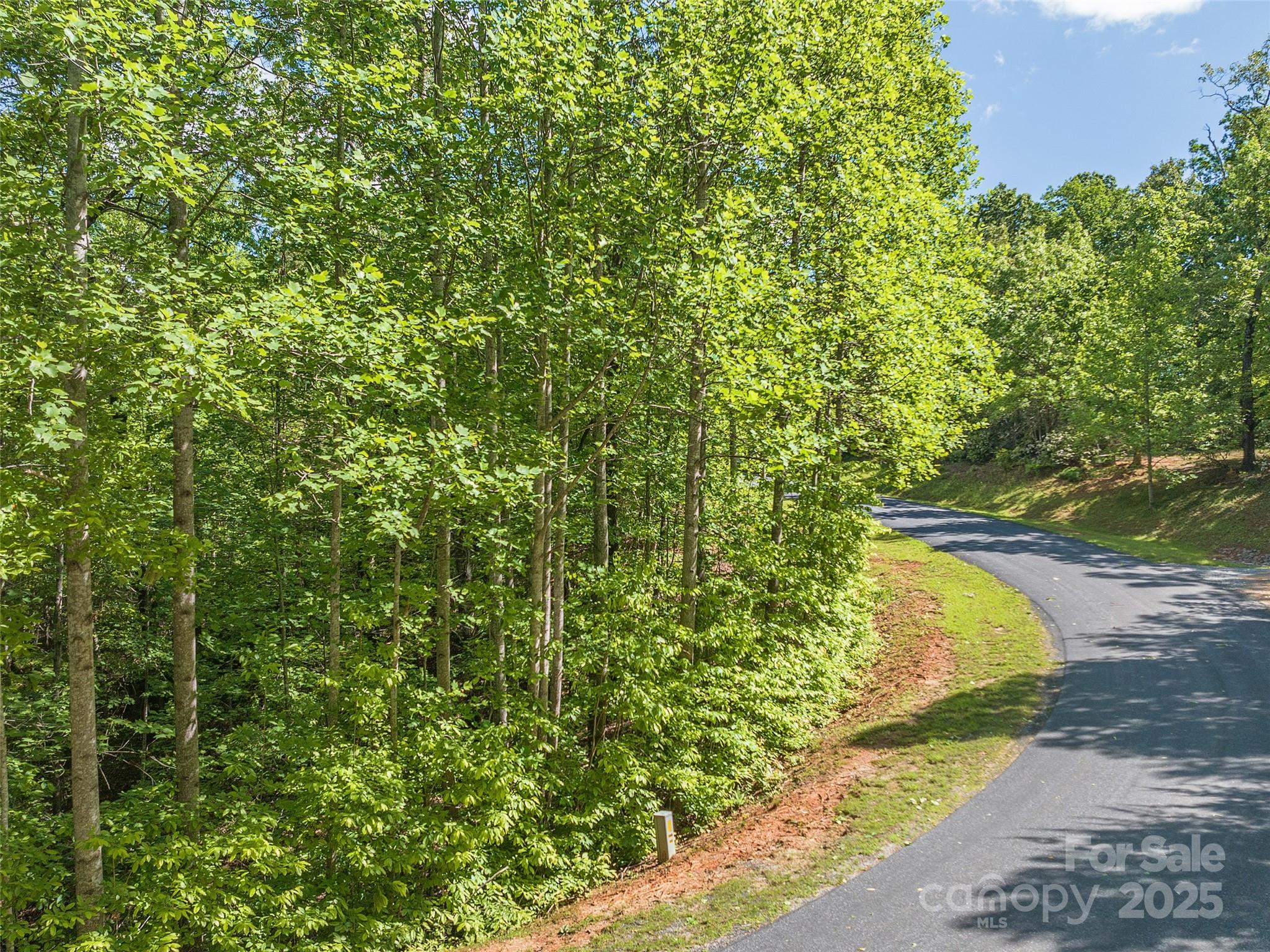Lot 62 Lake Adger Parkway
