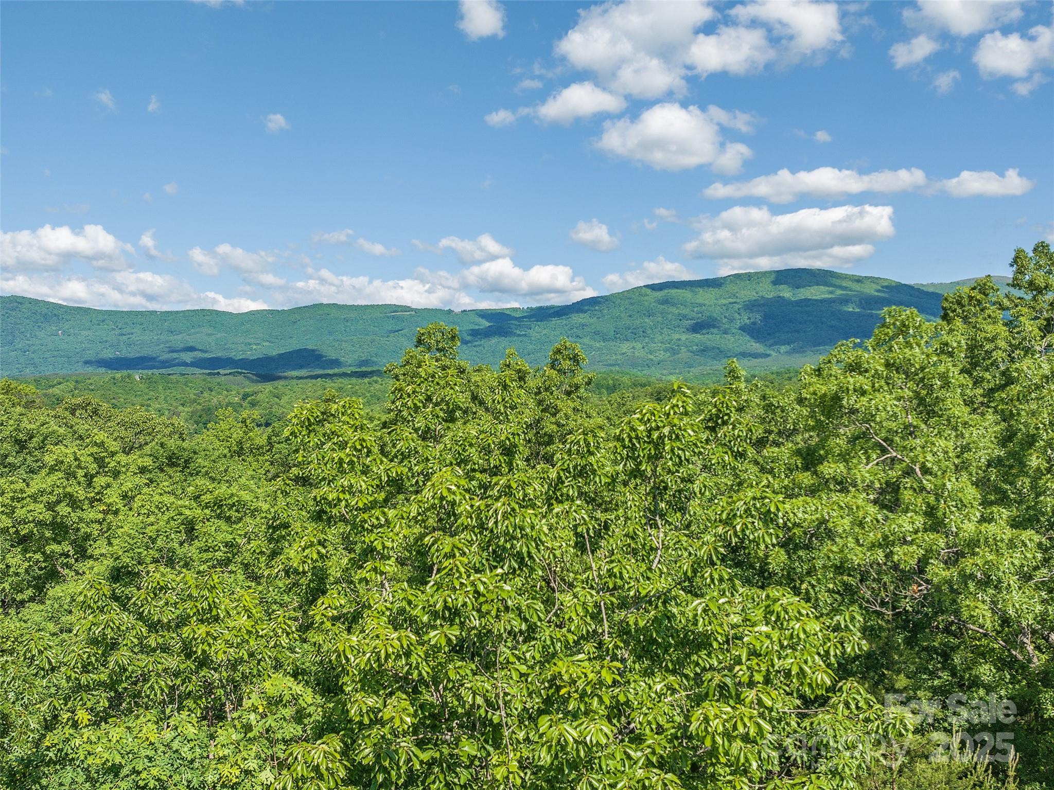 Lot 62 Lake Adger Parkway